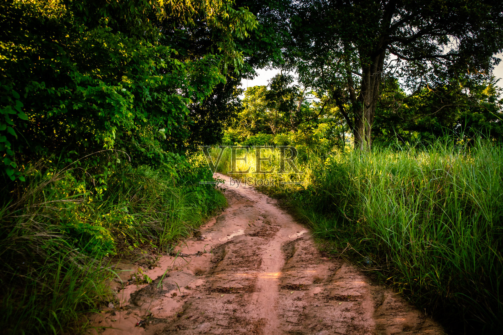 国家的道路照片摄影图片
