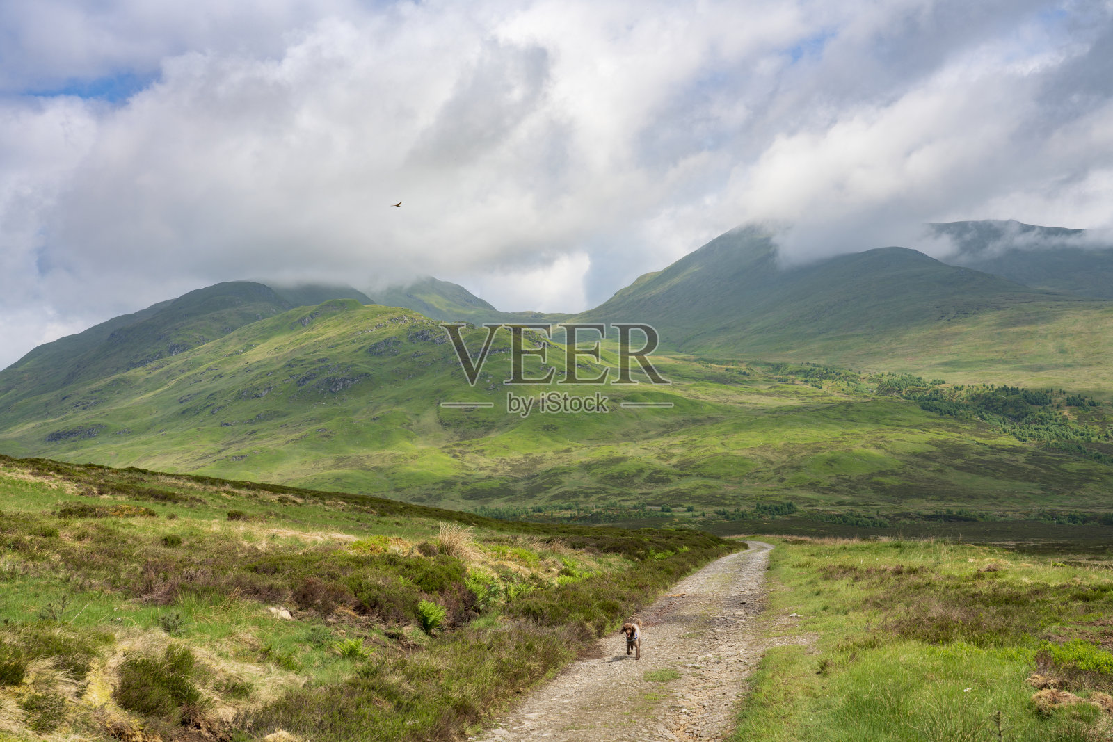 云层覆盖了Sron Dha Mhurchaidh的山峰照片摄影图片