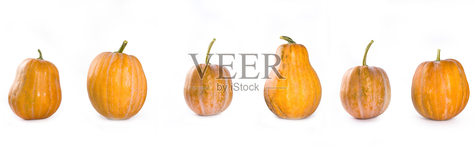 白底南瓜照片摄影图片