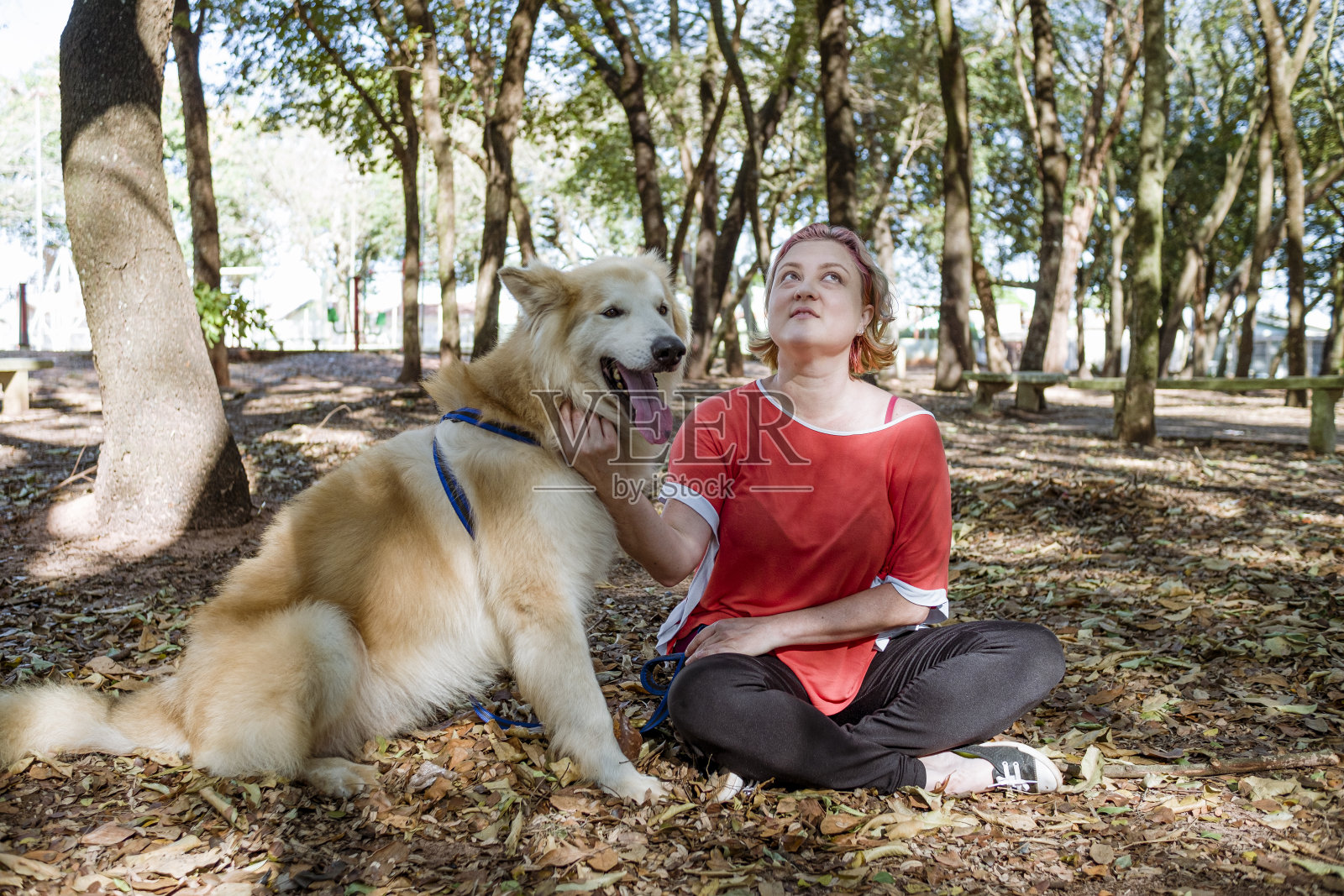 一个女人和她的宠物坐在森林里的树中间照片摄影图片