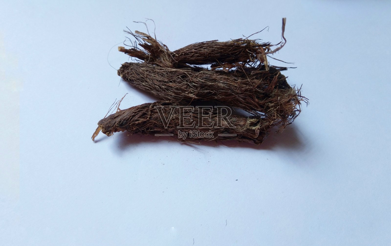 印度传统医学中用于治疗心理疾病的甘松照片摄影图片