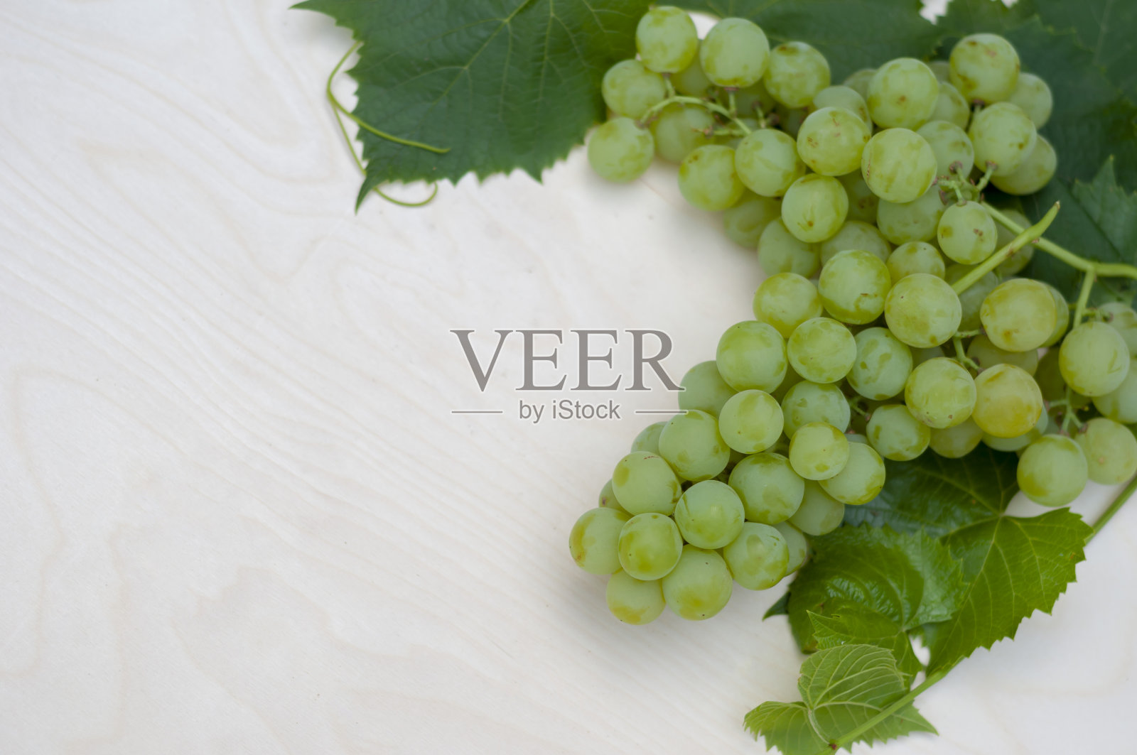 一串串的葡萄和一根年轻的藤蔓在浅色的木制背景上。副本的空间。照片摄影图片