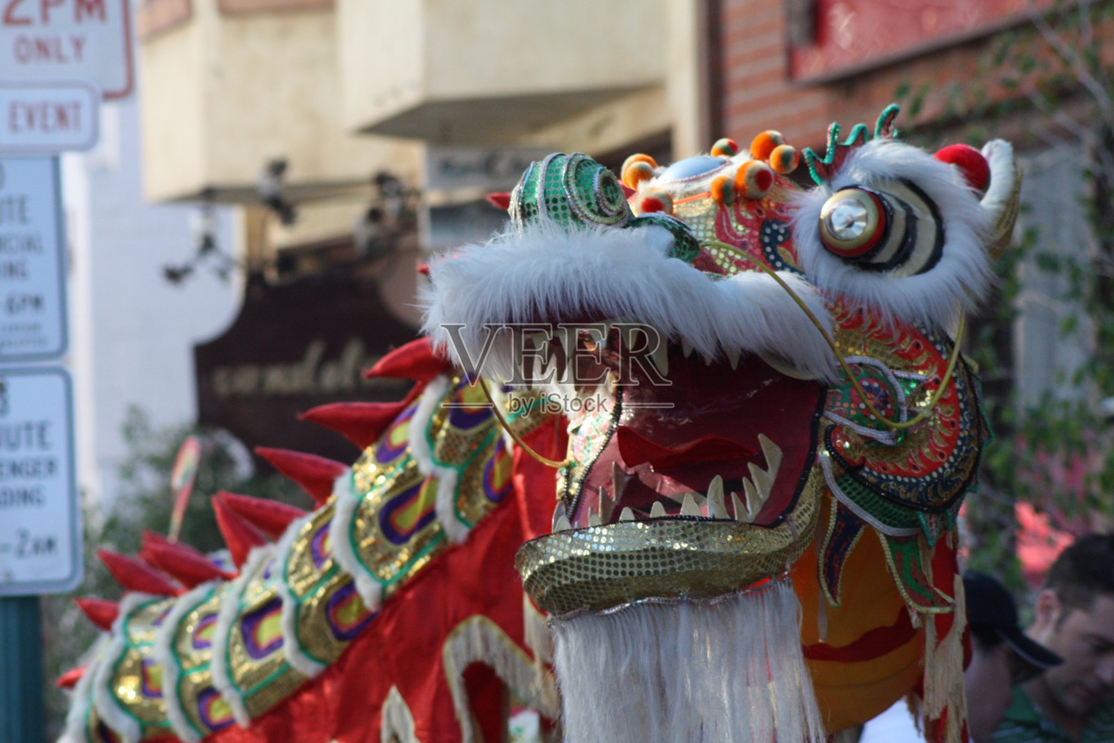 中国龙照片摄影图片