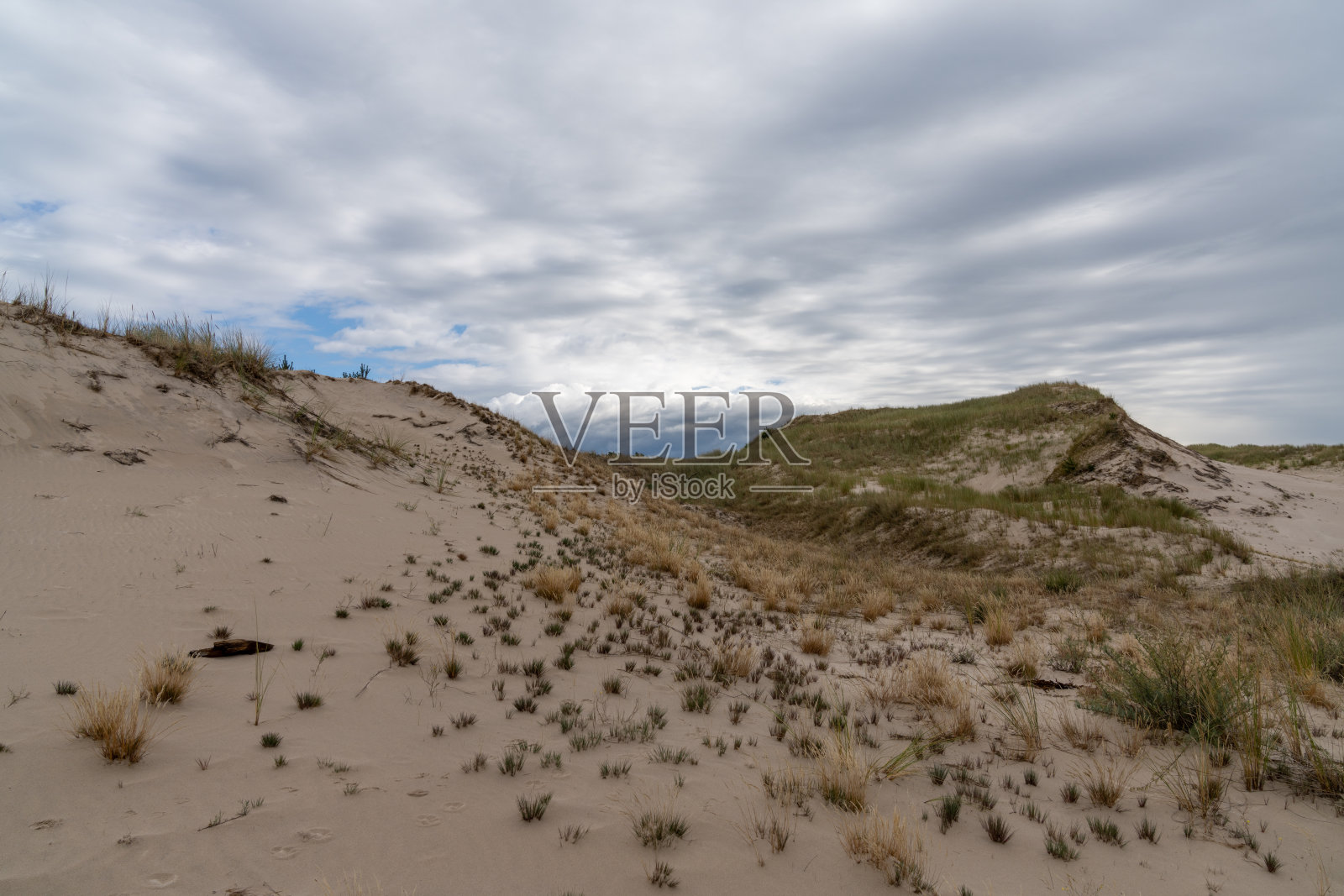 在富有表现力的天空下，斯洛文斯基国家公园的沙丘景观与草和灌木照片摄影图片