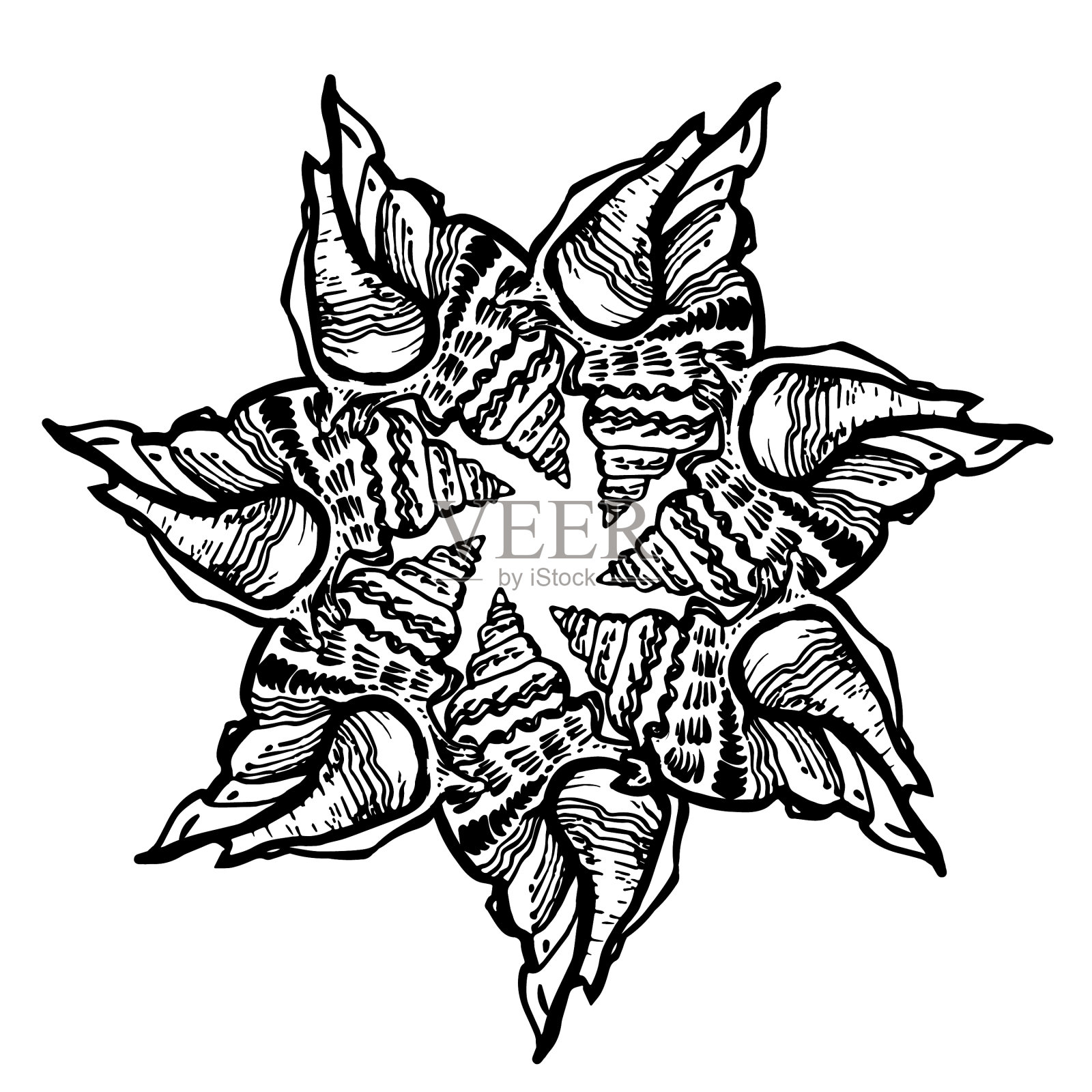 华丽的圆形框架从海贝黑色墨水设计元素图片