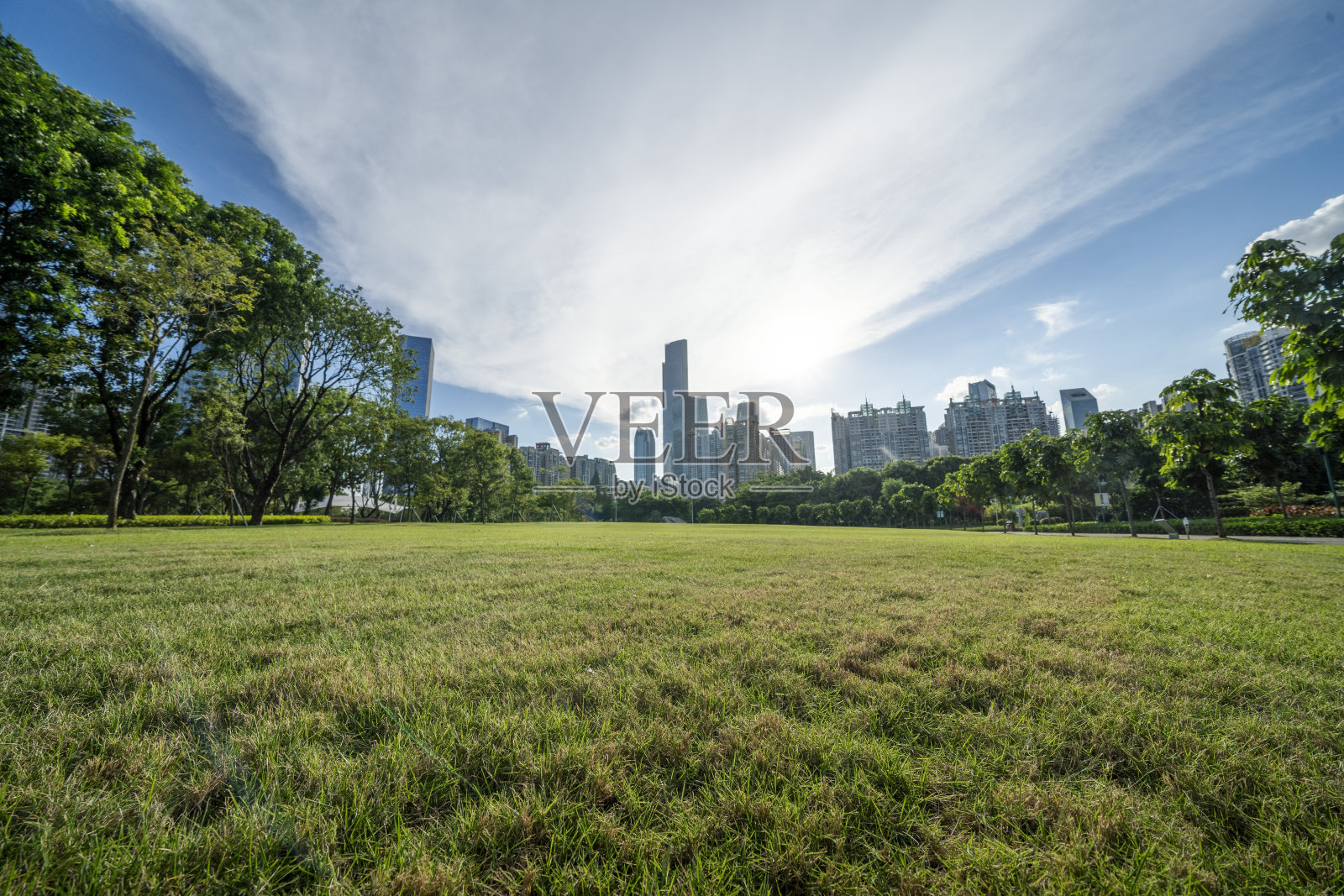 蓝天白云下的草、树和远处的建筑物照片摄影图片