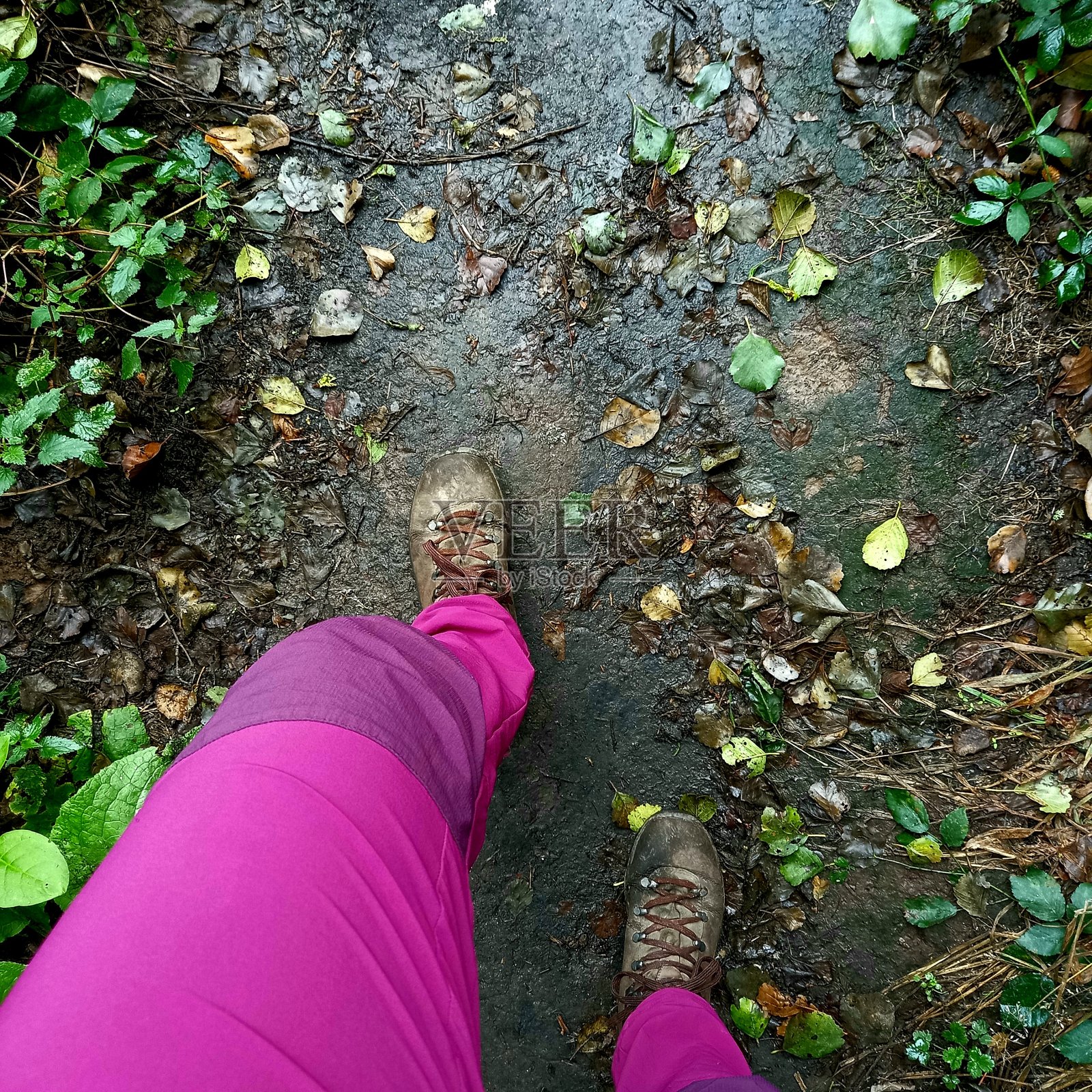 在森林里散步照片摄影图片