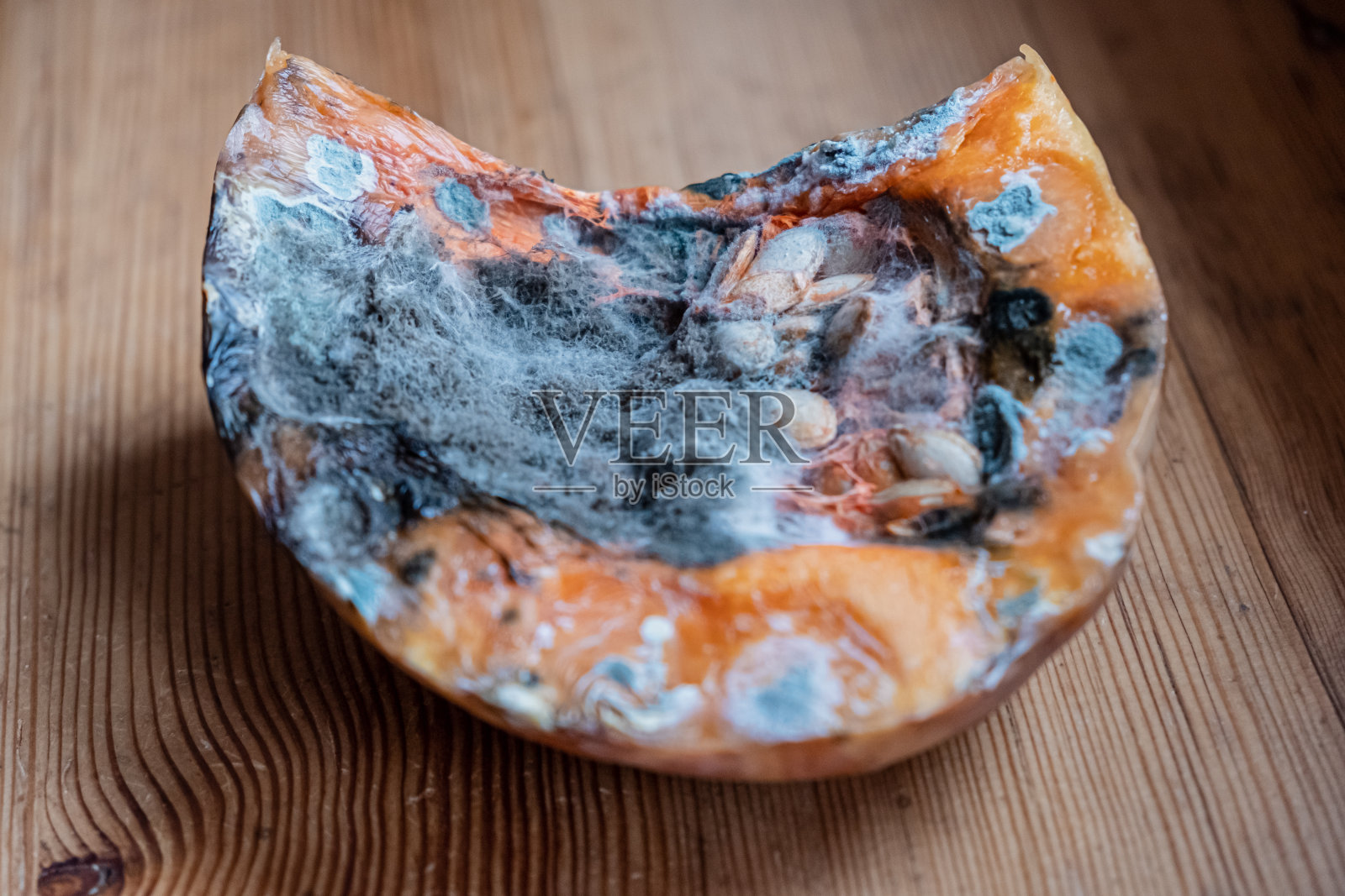 蓝色霉菌的坏南瓜特写。照片摄影图片