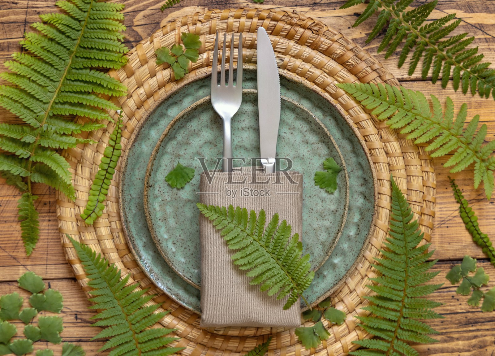 木桌上有蕨类植物的叶子照片摄影图片