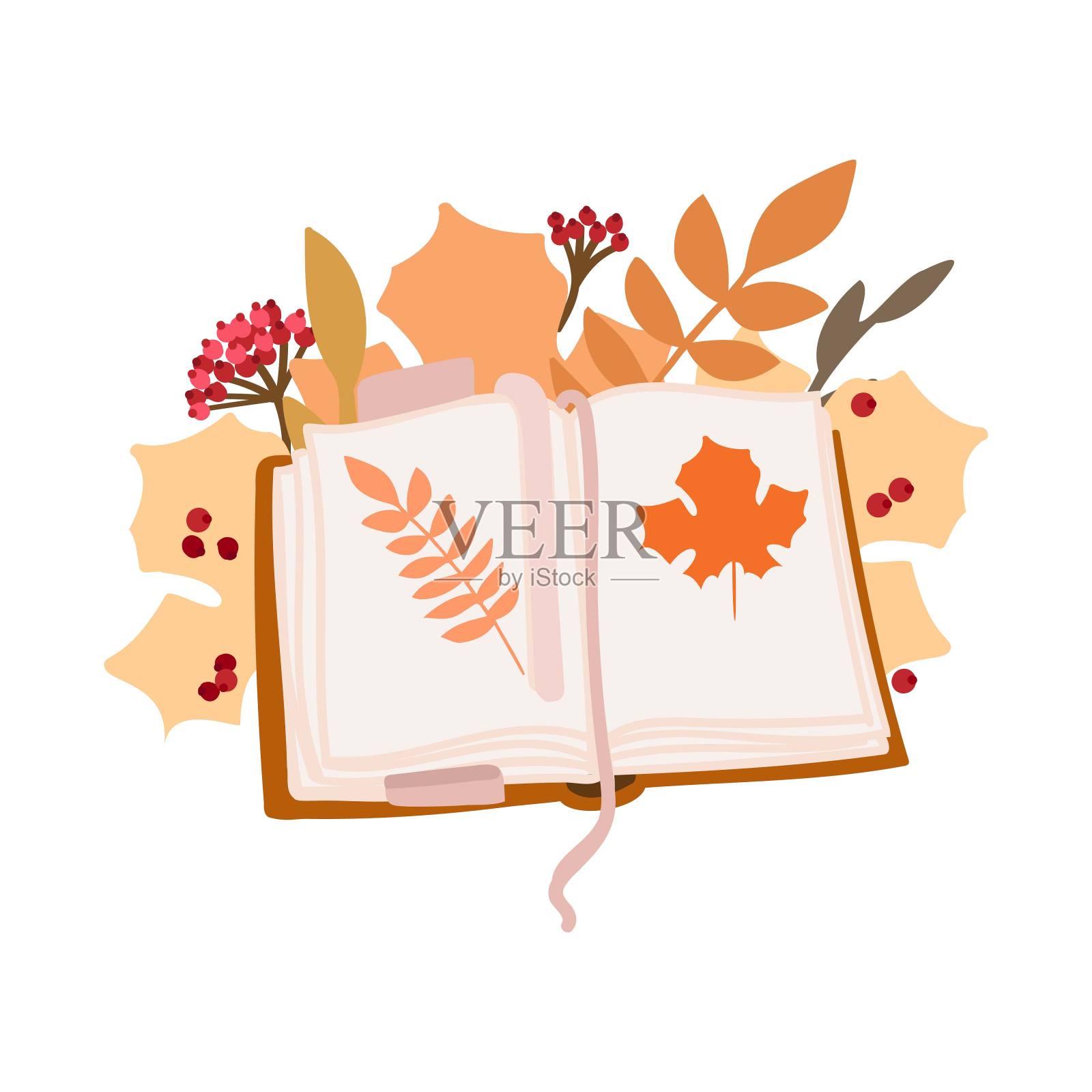翻开的书，白色的背景上是秋叶插画图片素材
