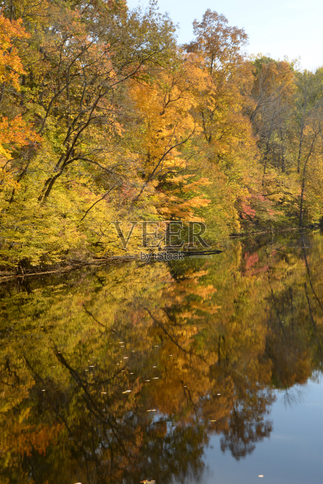 浓荫州立公园池塘照片摄影图片