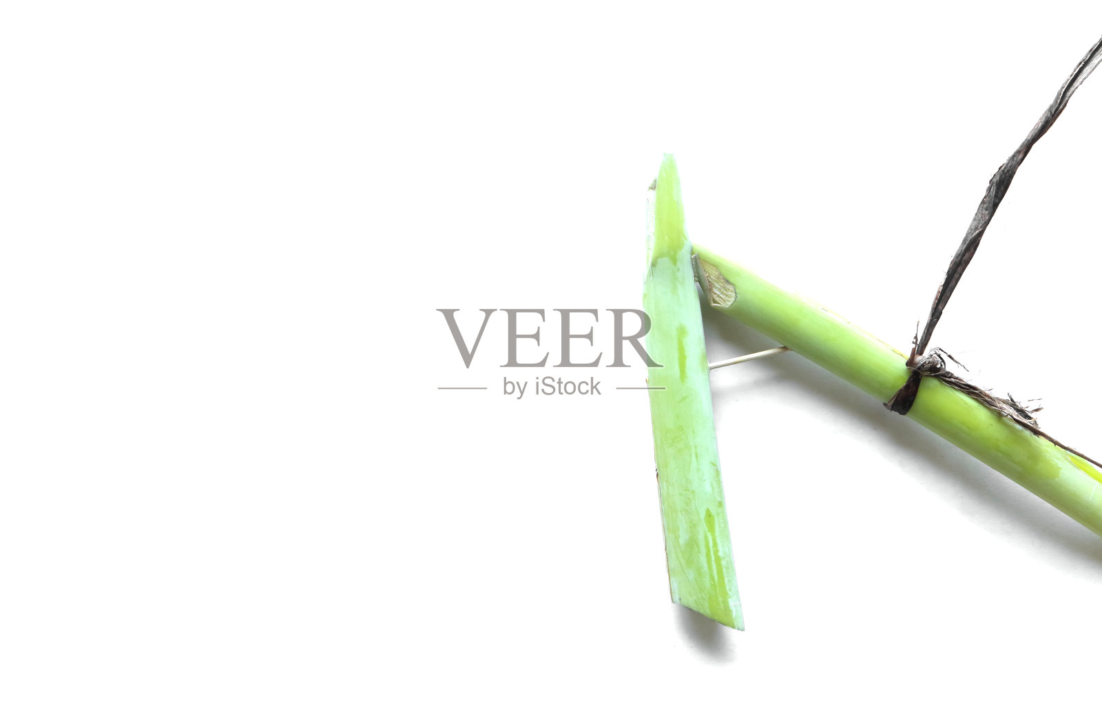 香蕉树马玩具从香蕉树照片摄影图片