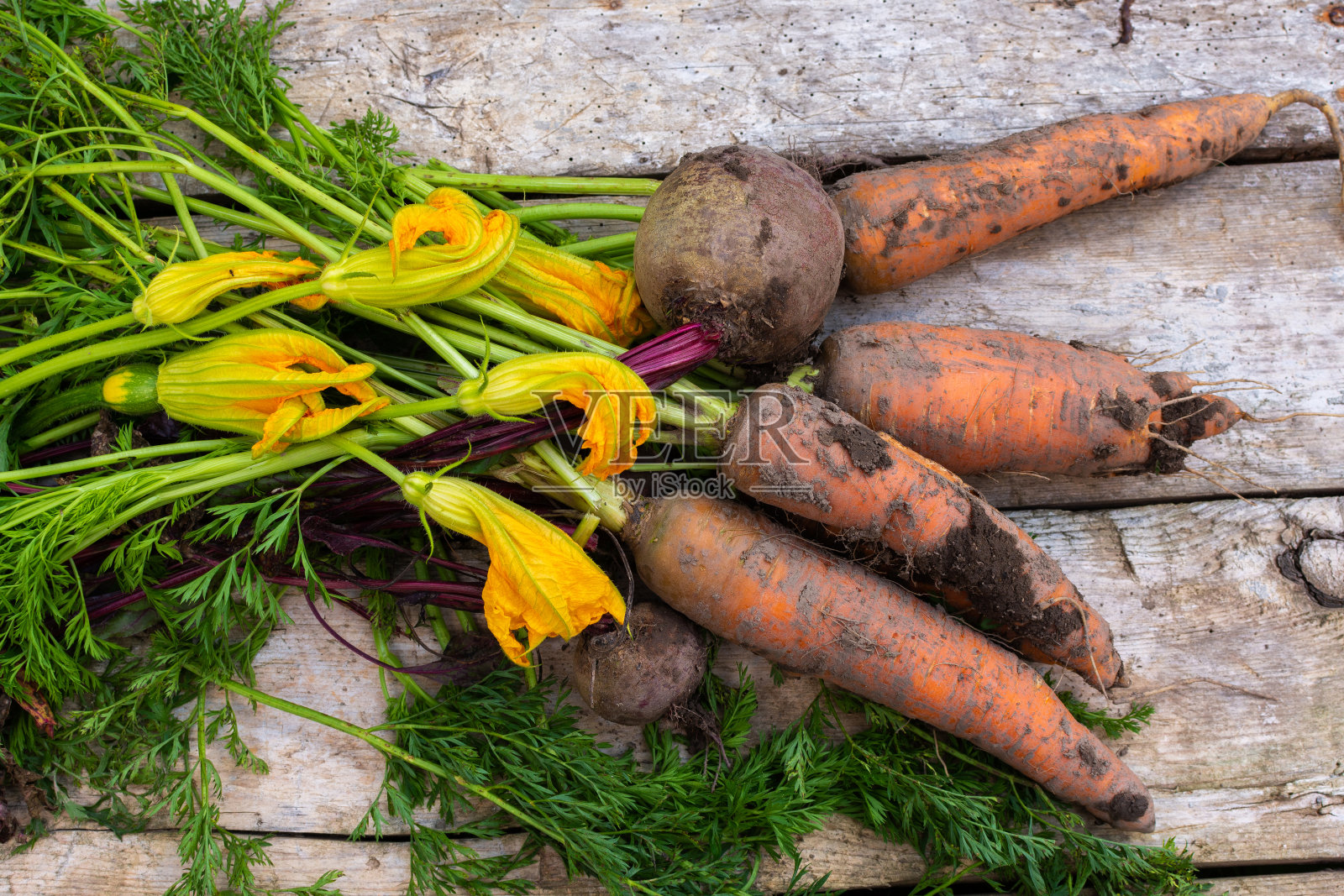 菜园里新鲜的有机蔬菜照片摄影图片