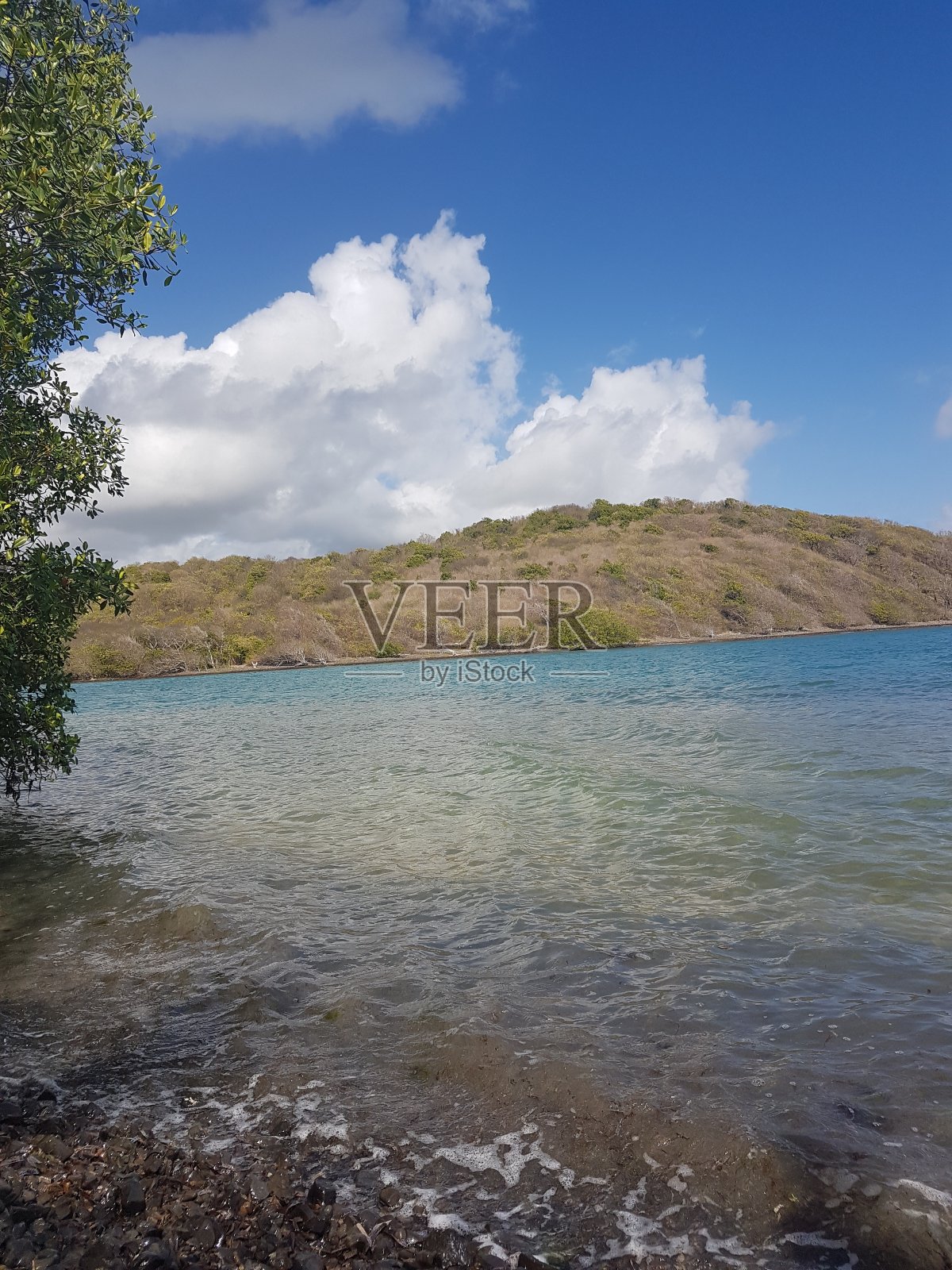 马提尼克岛照片摄影图片