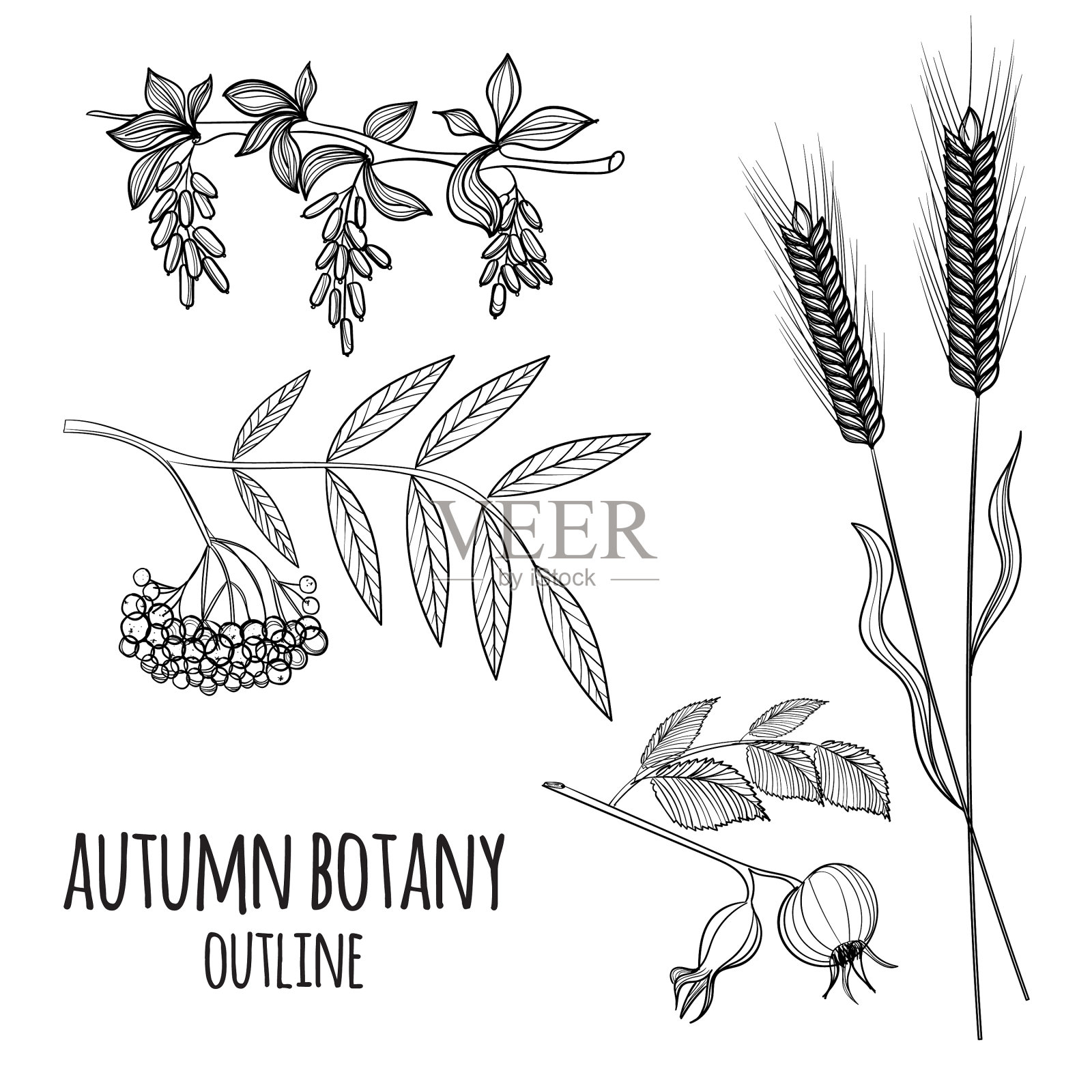 设置手绘秋天元素图标素材