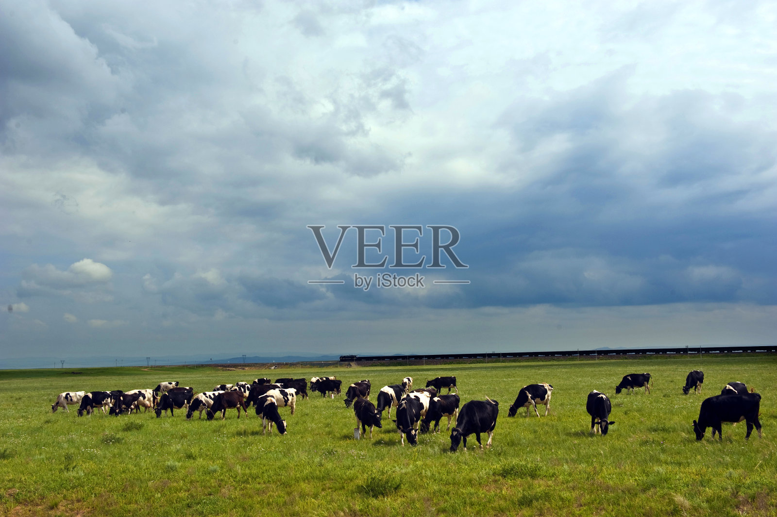 Xilin高尔草原照片摄影图片