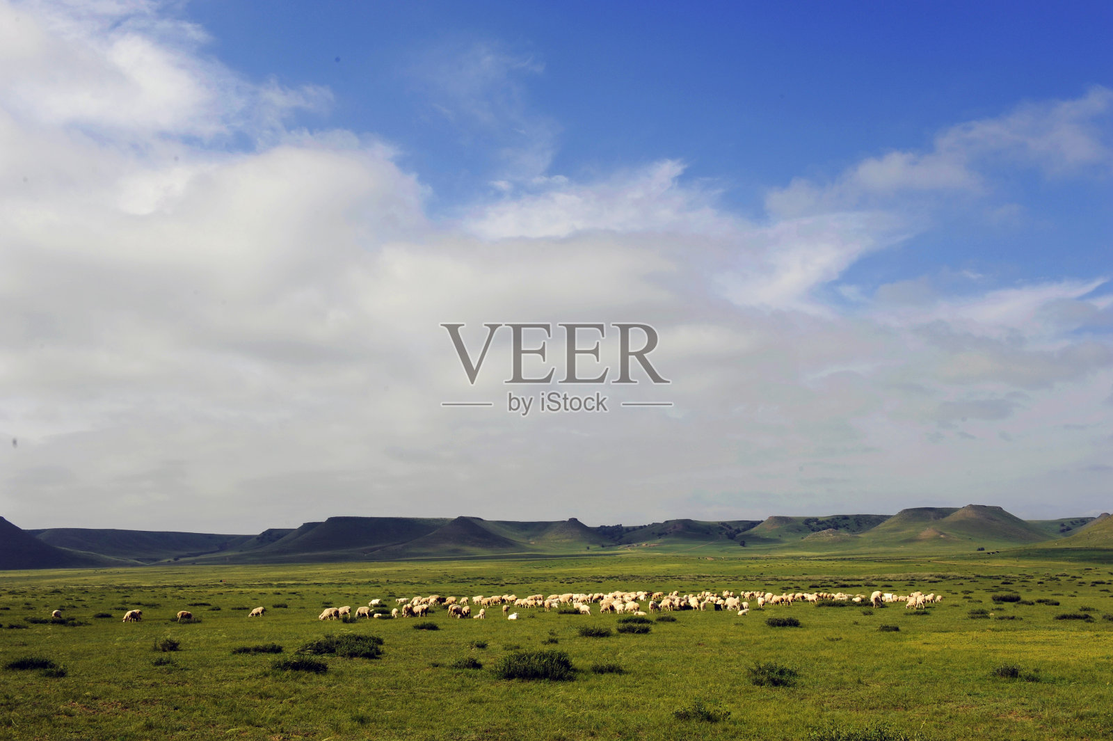 Xilin高尔草原照片摄影图片