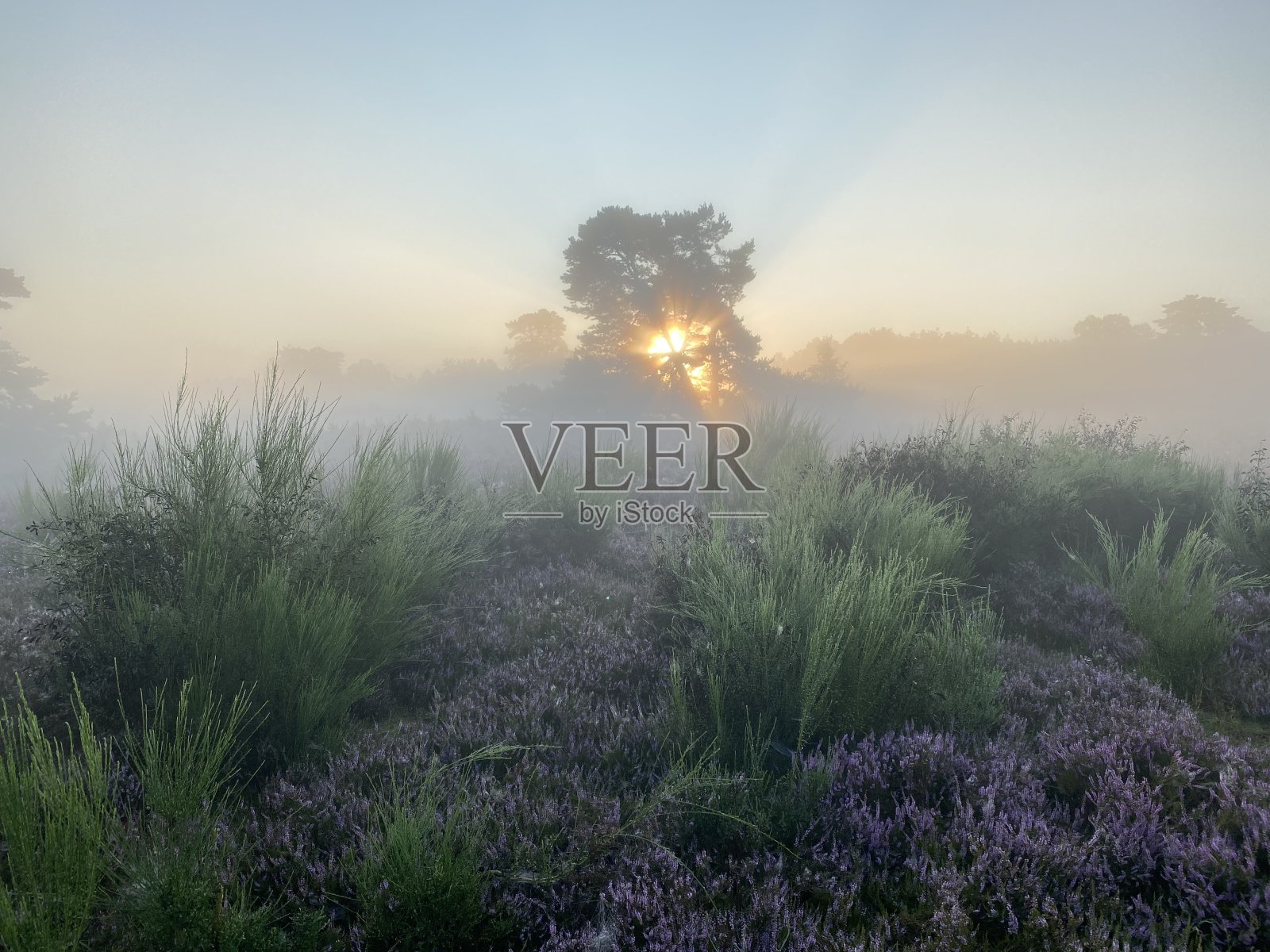 布伦斯萨默海德的日出照片摄影图片