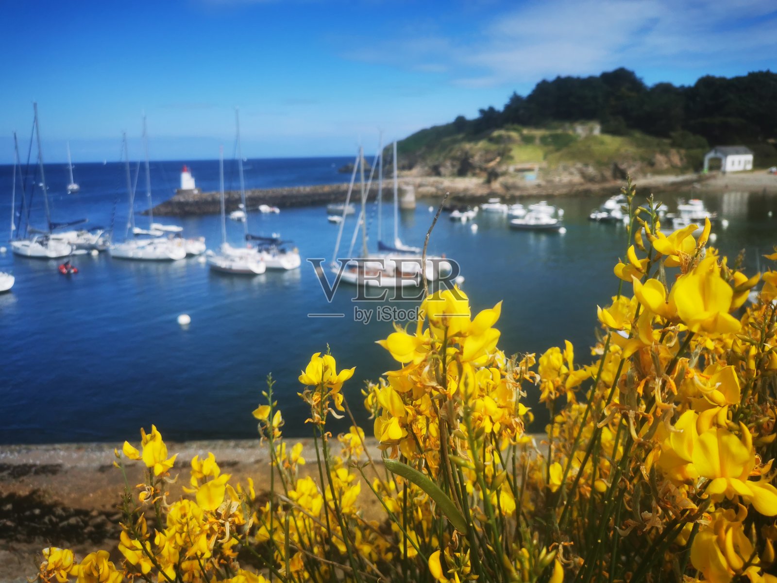 美丽的海上岛屿照片摄影图片