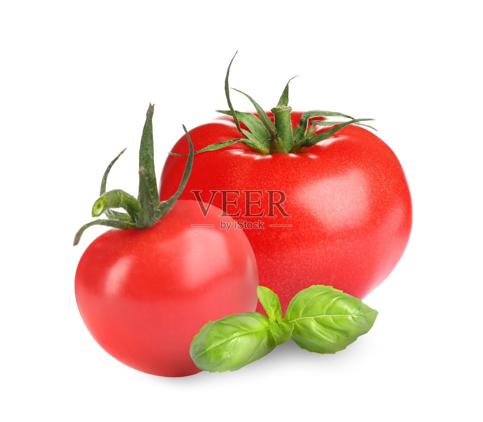 新鲜的罗勒叶和有机番茄分离在白色照片摄影图片