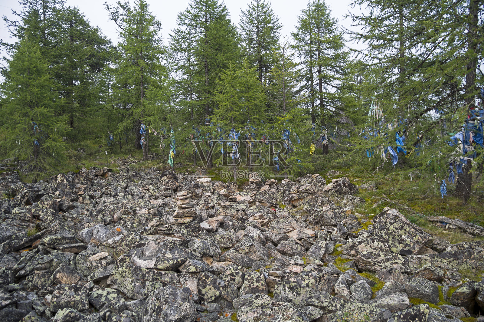 布里亚特文化中崇拜当地神灵的地方。照片摄影图片