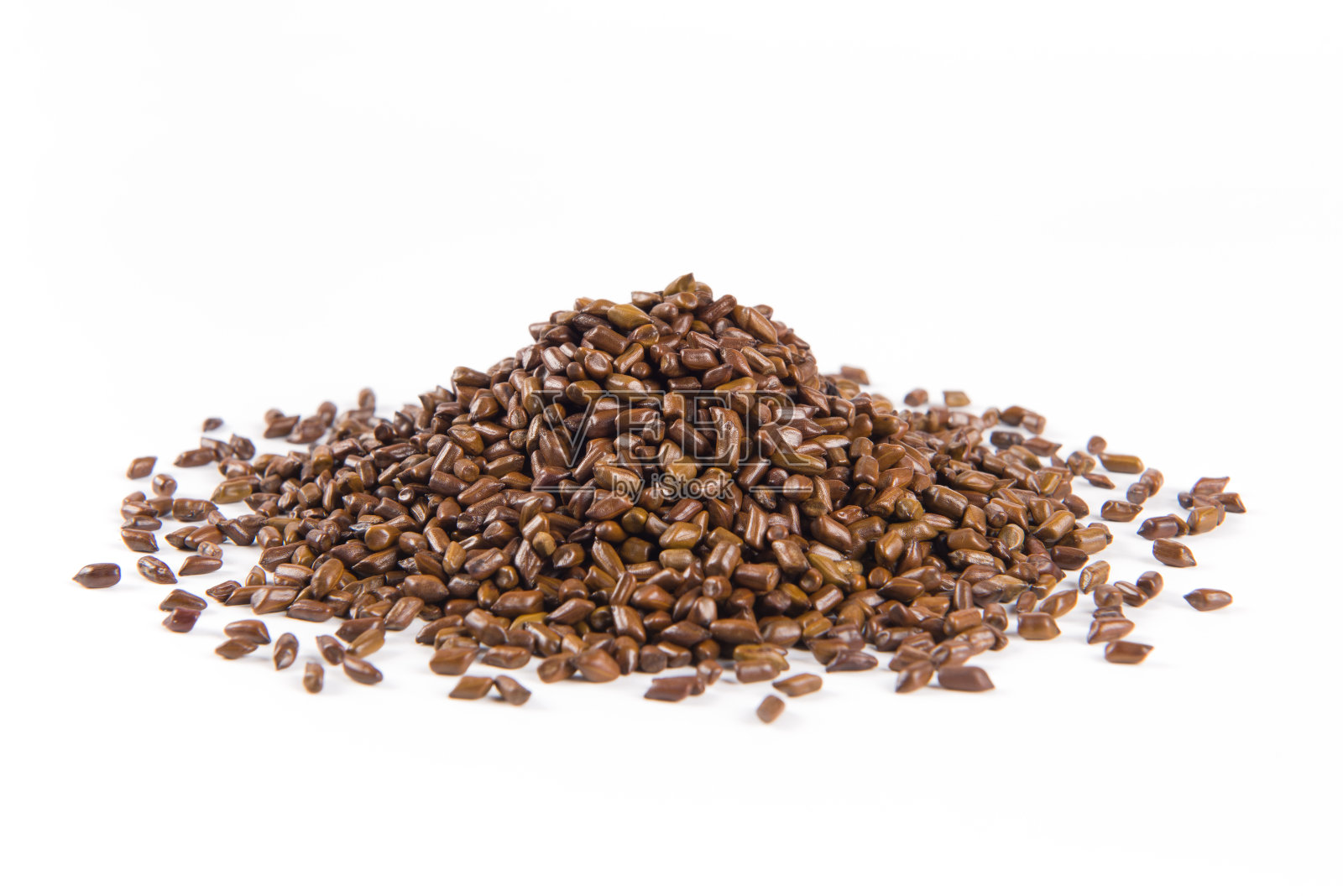 白色背景上的中草药决明子照片摄影图片