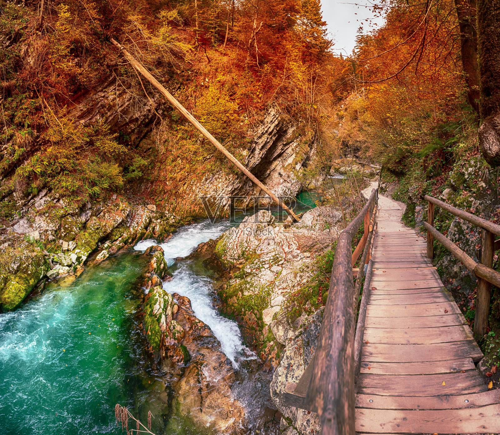 斯洛文尼亚 文特加尔峡谷照片摄影图片