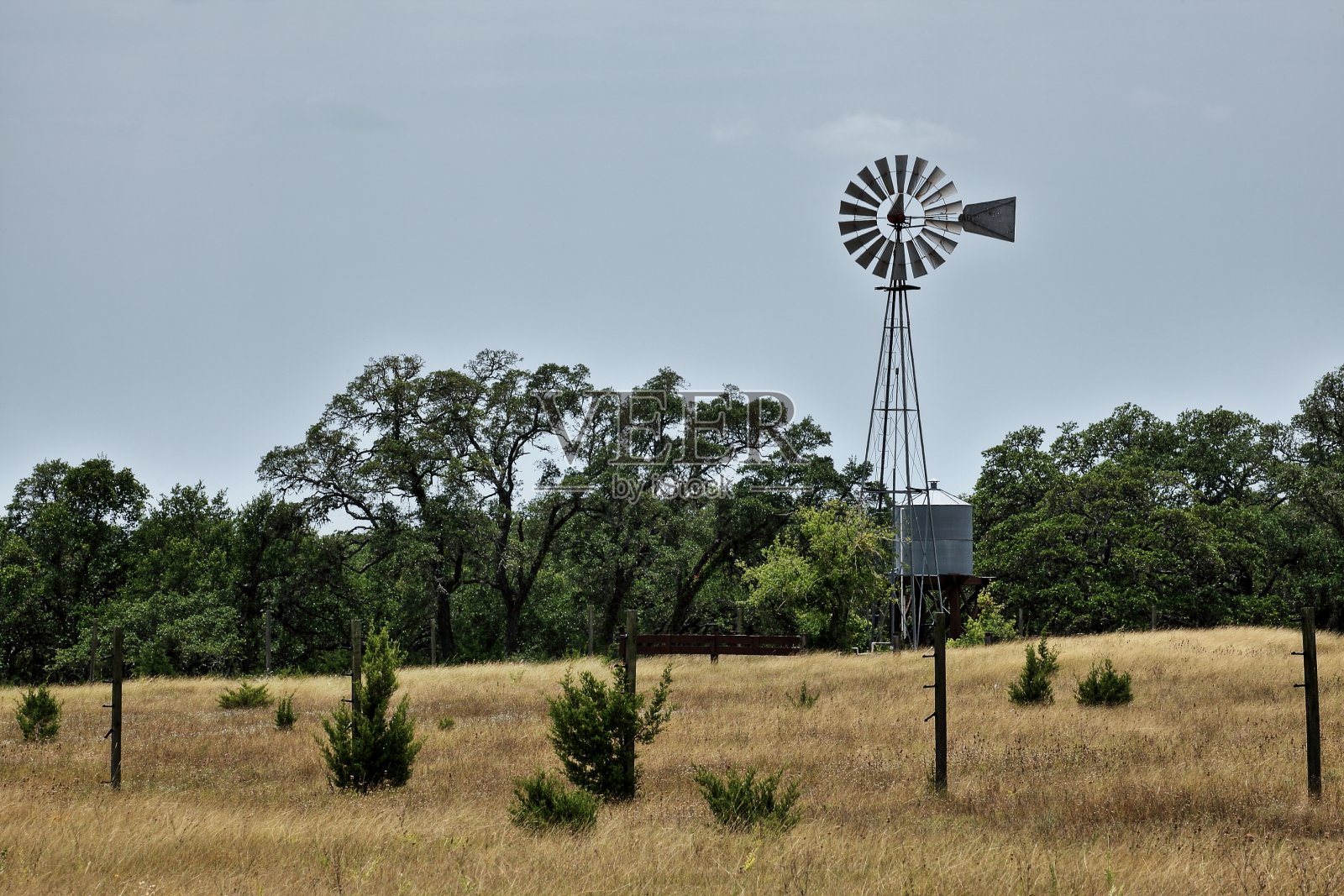 温伯利风车照片摄影图片