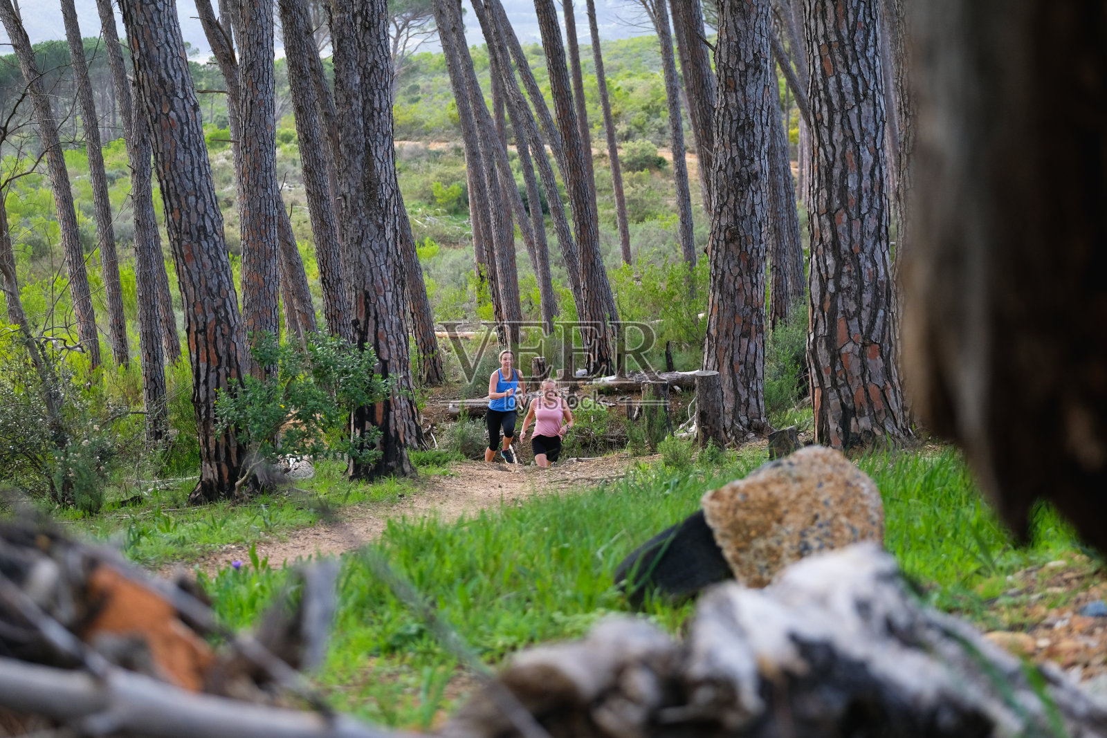 女性朋友一起慢跑穿过森林照片摄影图片