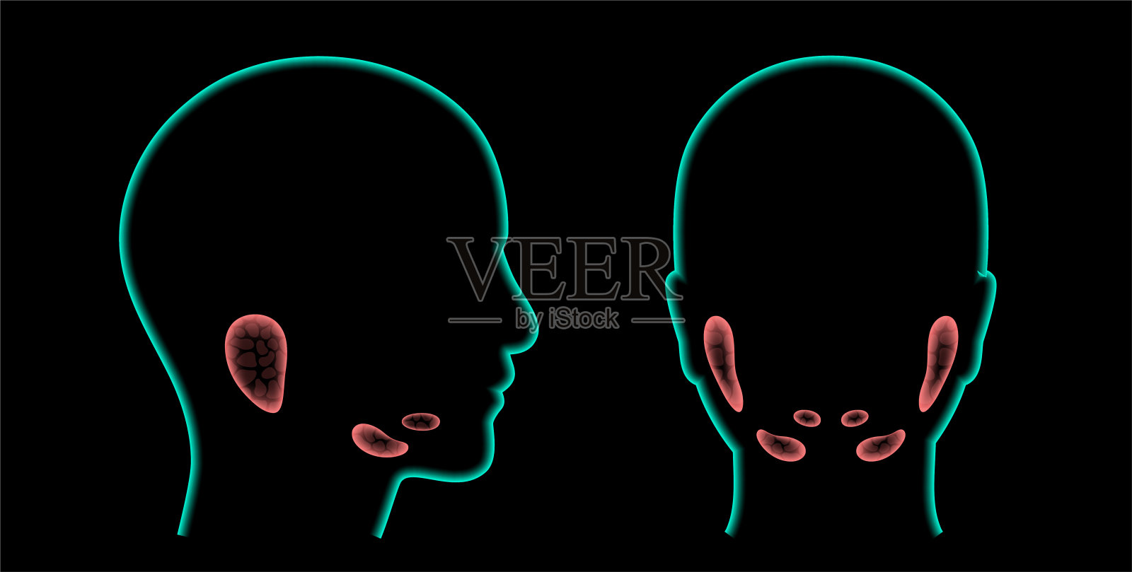 唾腺的概念插画图片素材