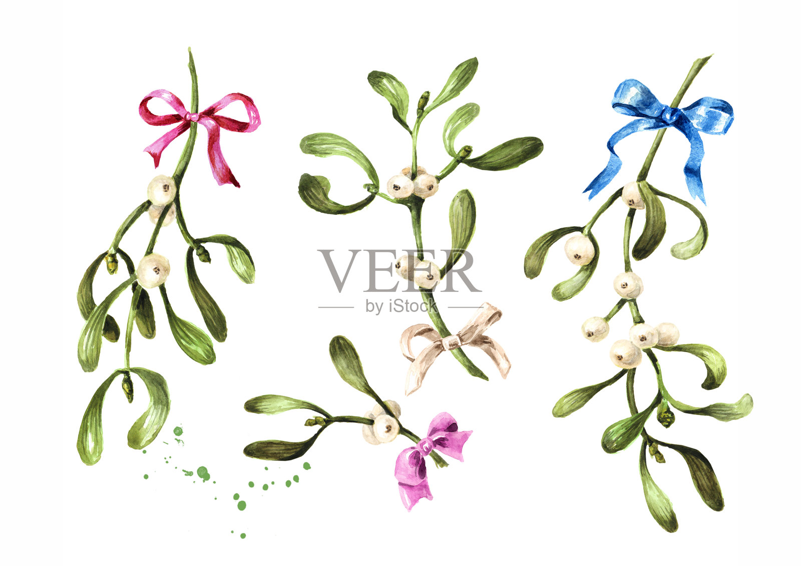 槲寄生或粘树枝上有叶子和浆果。水彩手绘插图孤立在白色背景插画图片素材