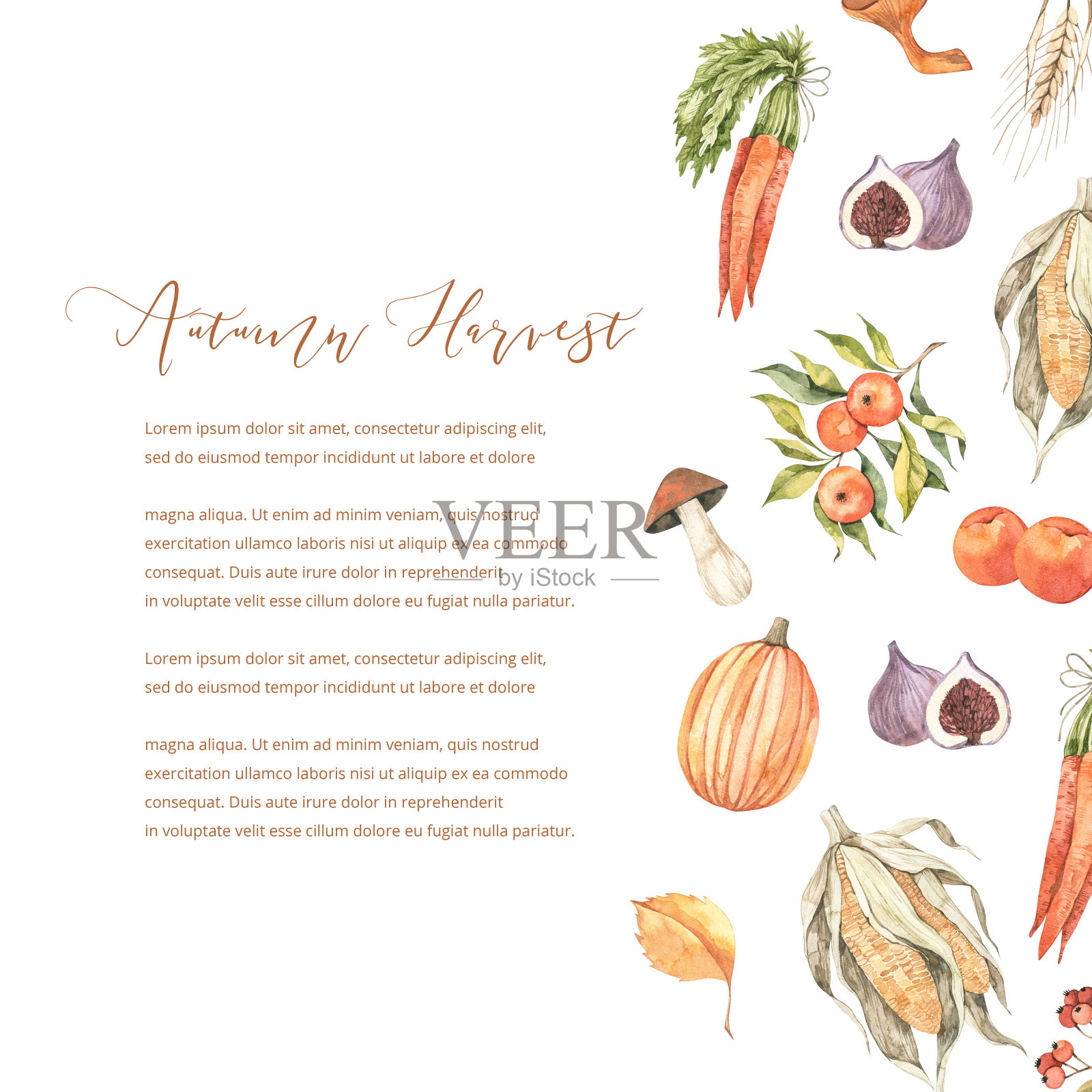 水彩秋天框架蘑菇，秋天的叶子，玉米，小麦，苹果和浆果。秋天元素的构图。完美的邀请，贺卡，海报，印刷，社交媒体插画图片素材