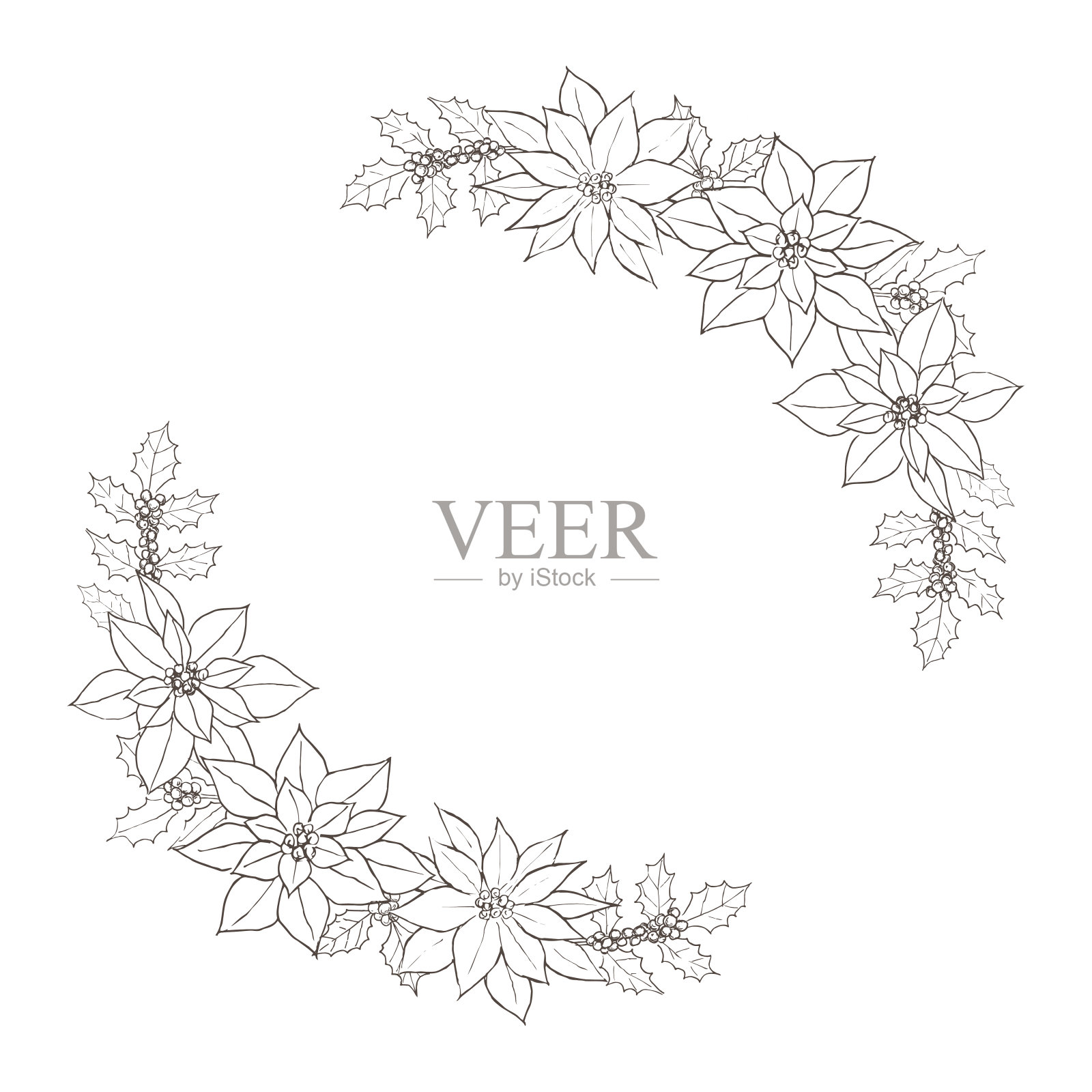 一品红和冬青的笔画圆框架插画图片素材