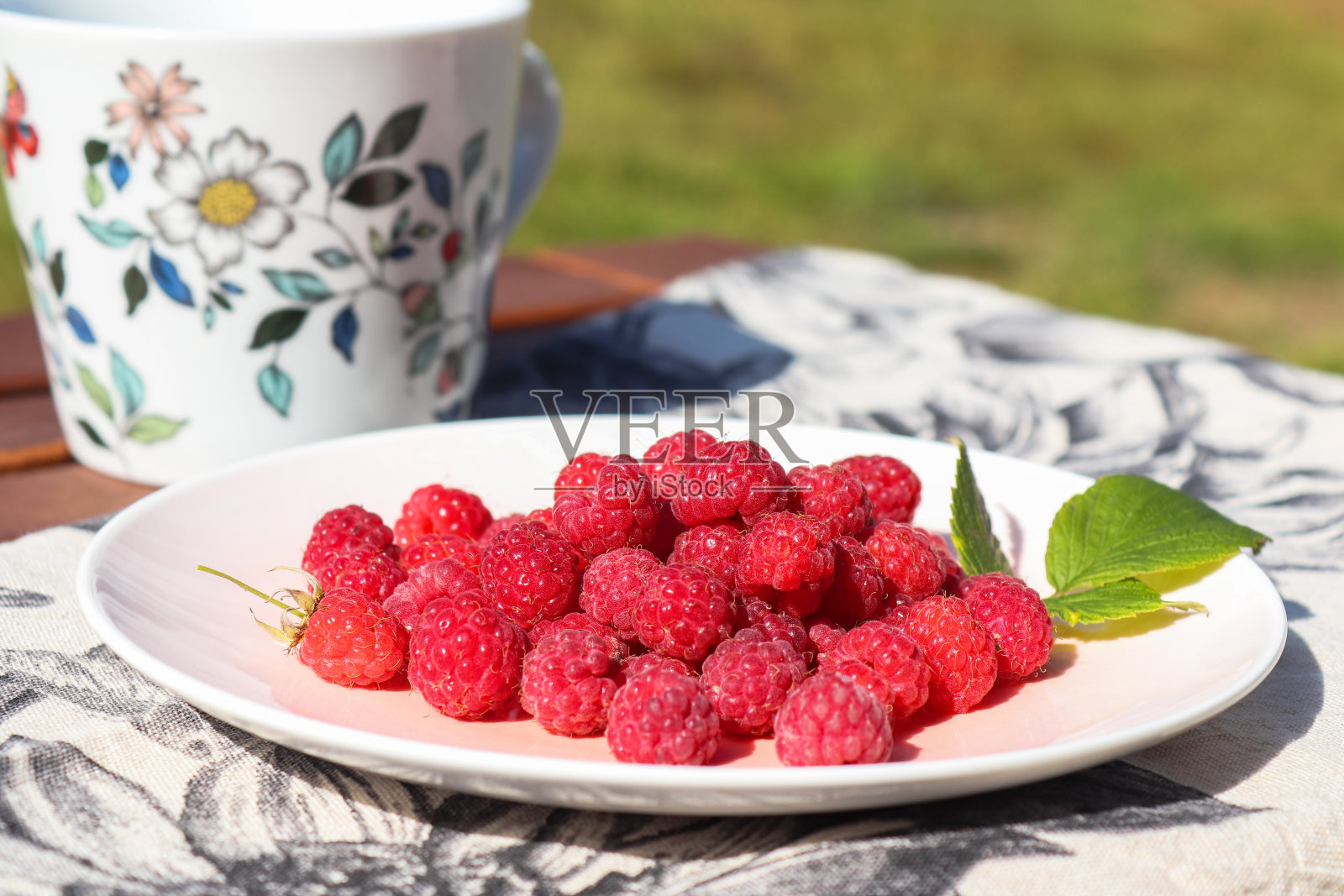 户外餐桌上放着野覆盆子照片摄影图片