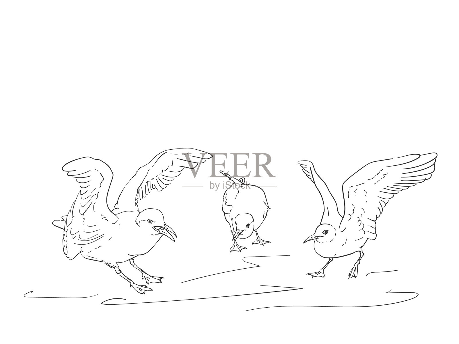 愤怒的海鸥手绘草图设计元素图片