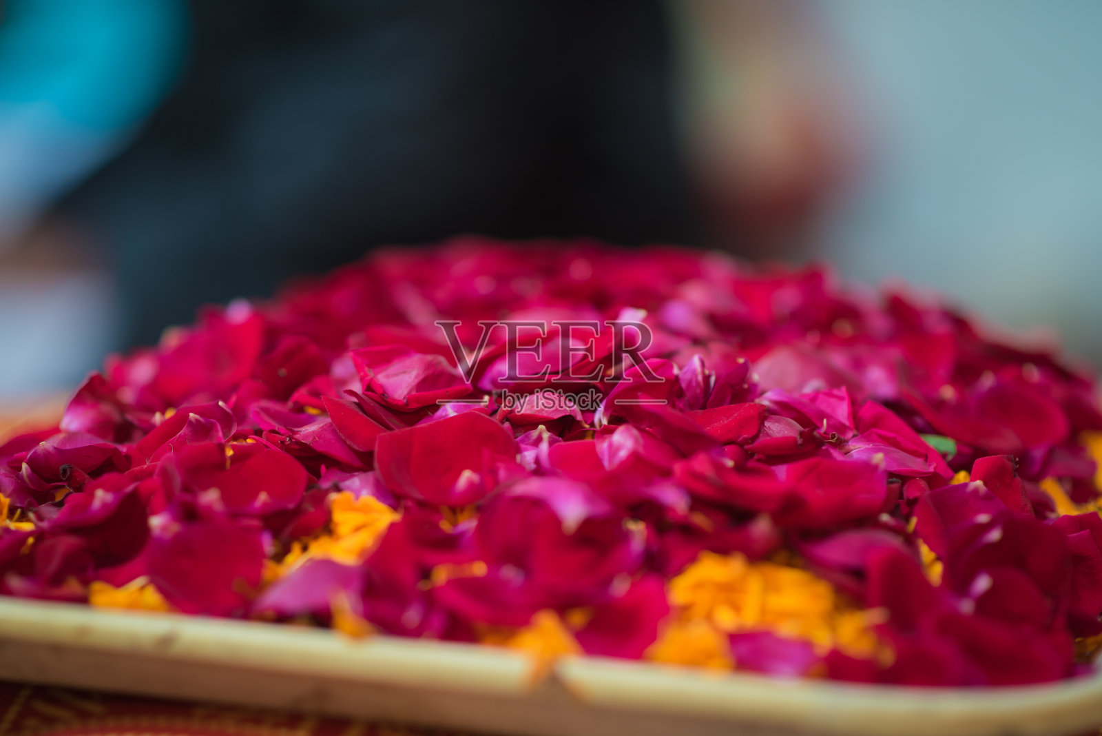 印度婚礼上为欢迎宾客而储存的红玫瑰花瓣照片摄影图片