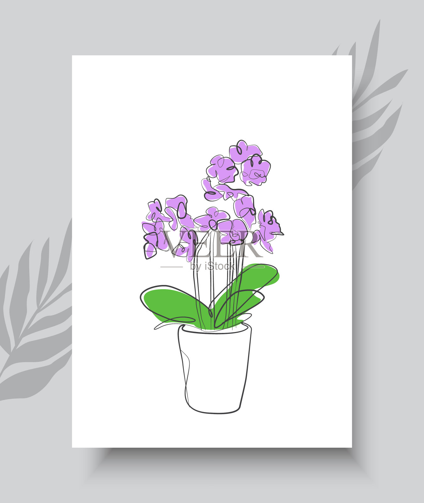 抽象线条艺术兰花插画图片素材