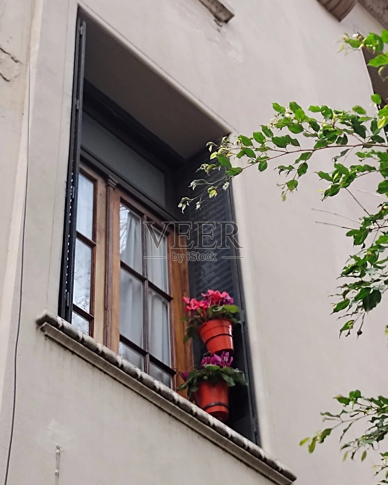 可爱的窗口照片摄影图片