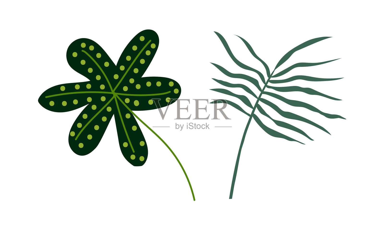 茎上的热带绿叶，为异域植物设计元素图片