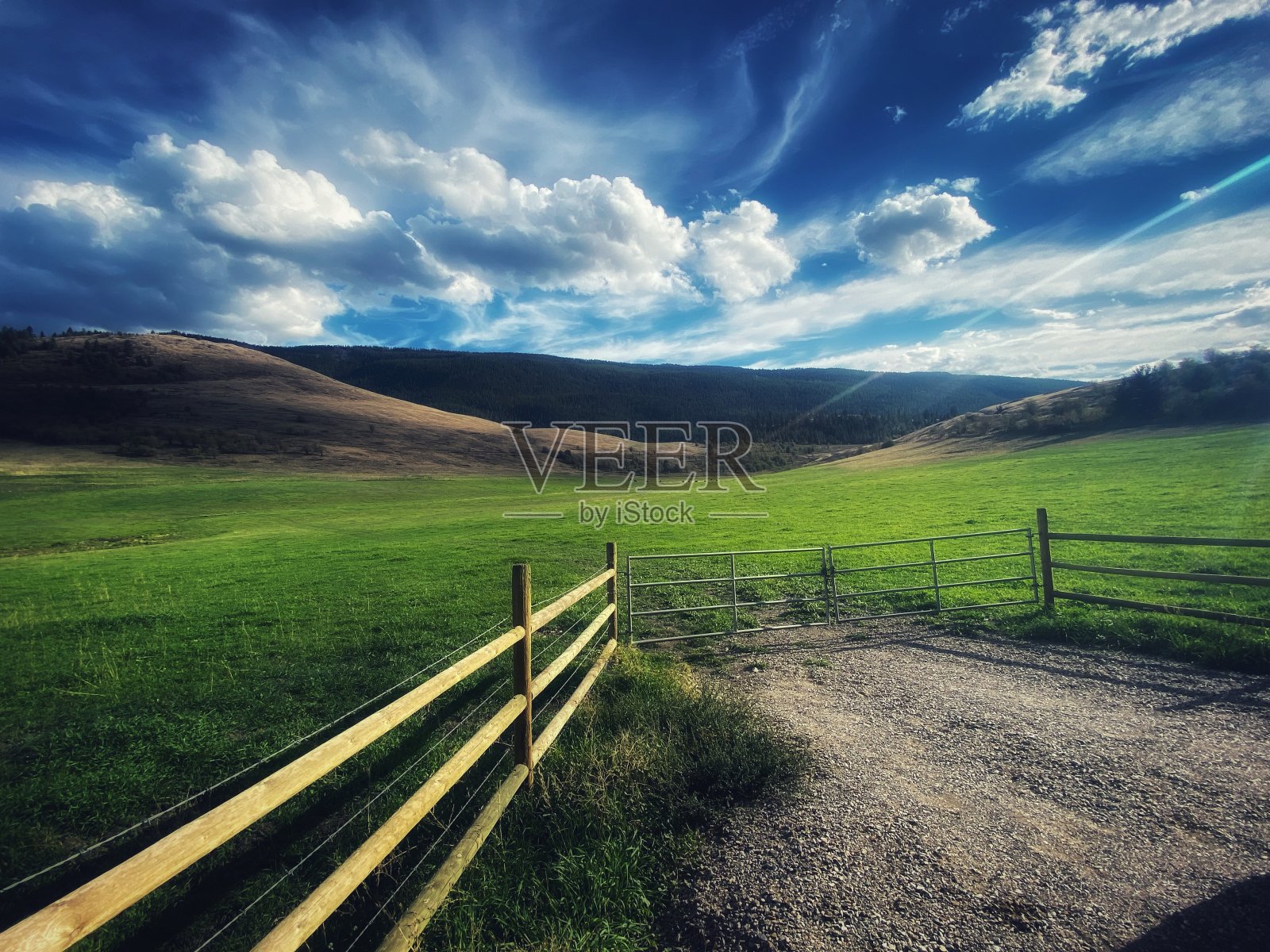 牧场照片摄影图片
