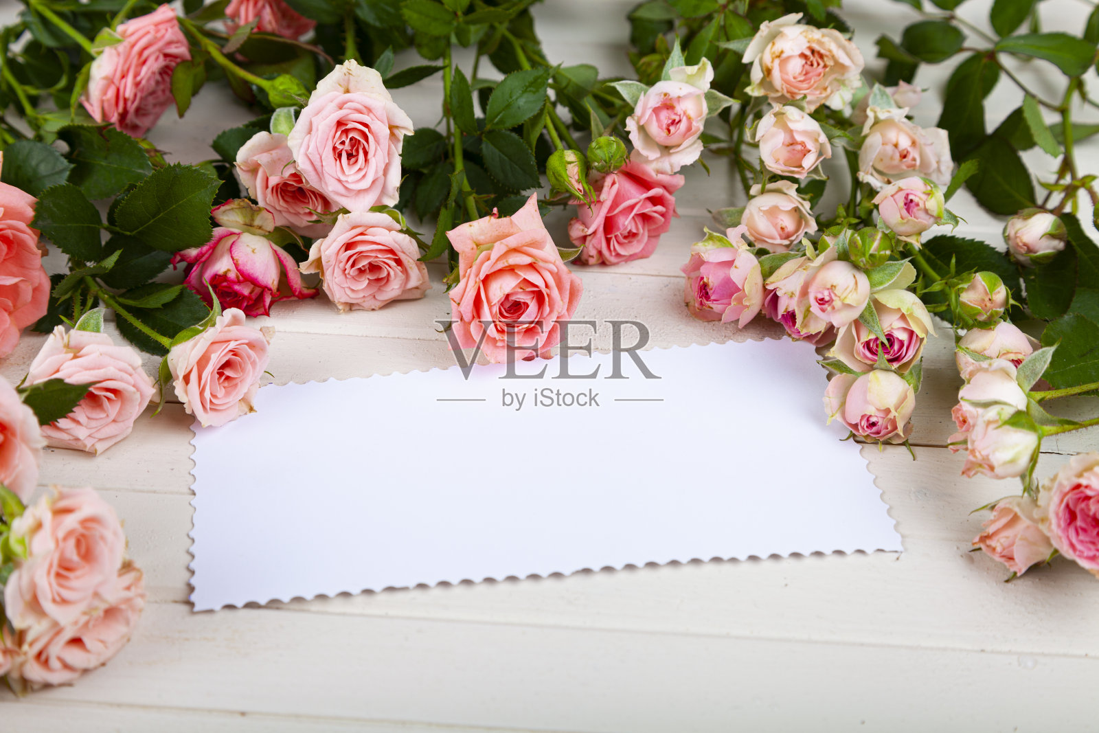 粉红色的玫瑰点缀在浅色的木制背景上，照片摄影图片