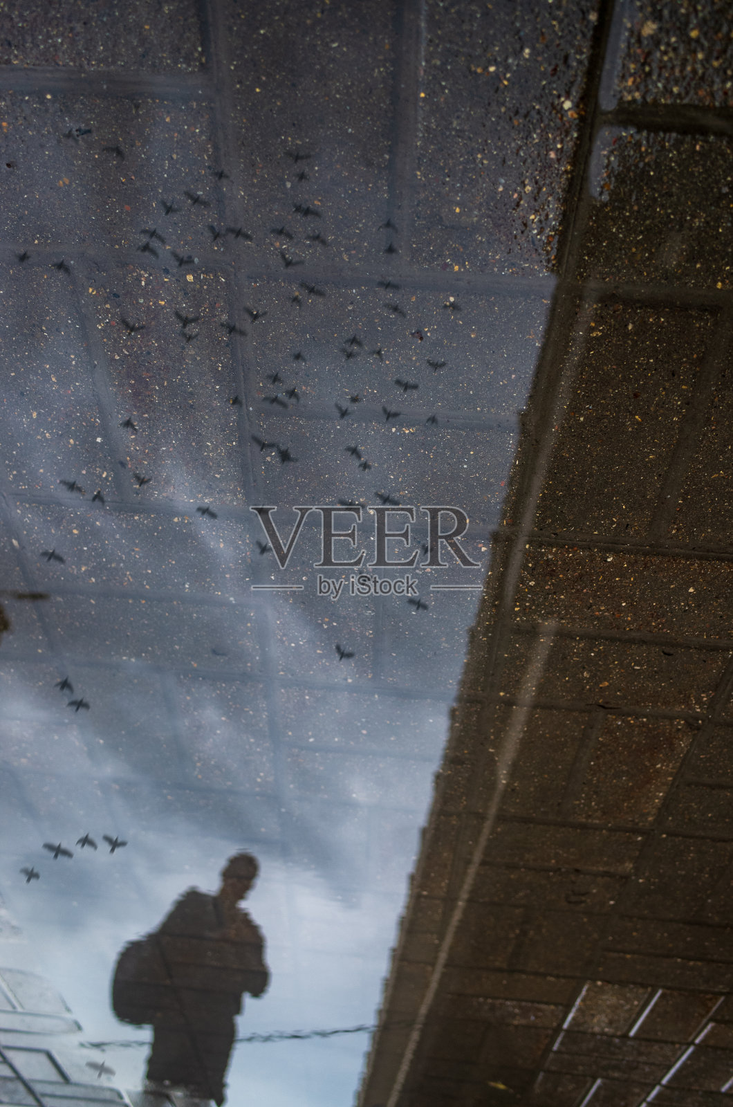 一个人在雨天独自走在潮湿的城市人行道上的模糊剪影。鸟儿在天空中飞翔。抽象摄影照片摄影图片