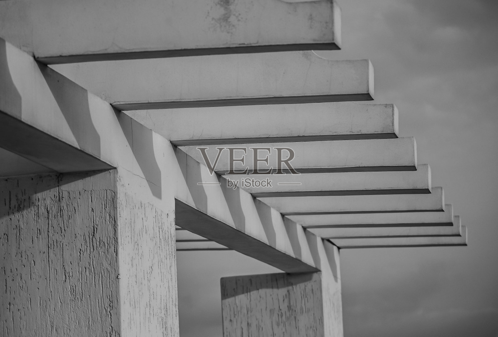 黑色和白色的椽子照片摄影图片