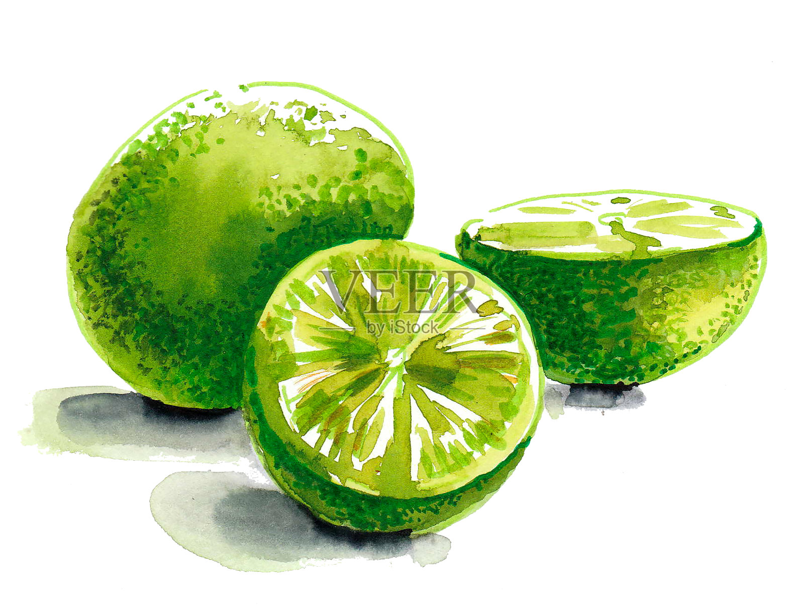 酸橙柠檬插画图片素材