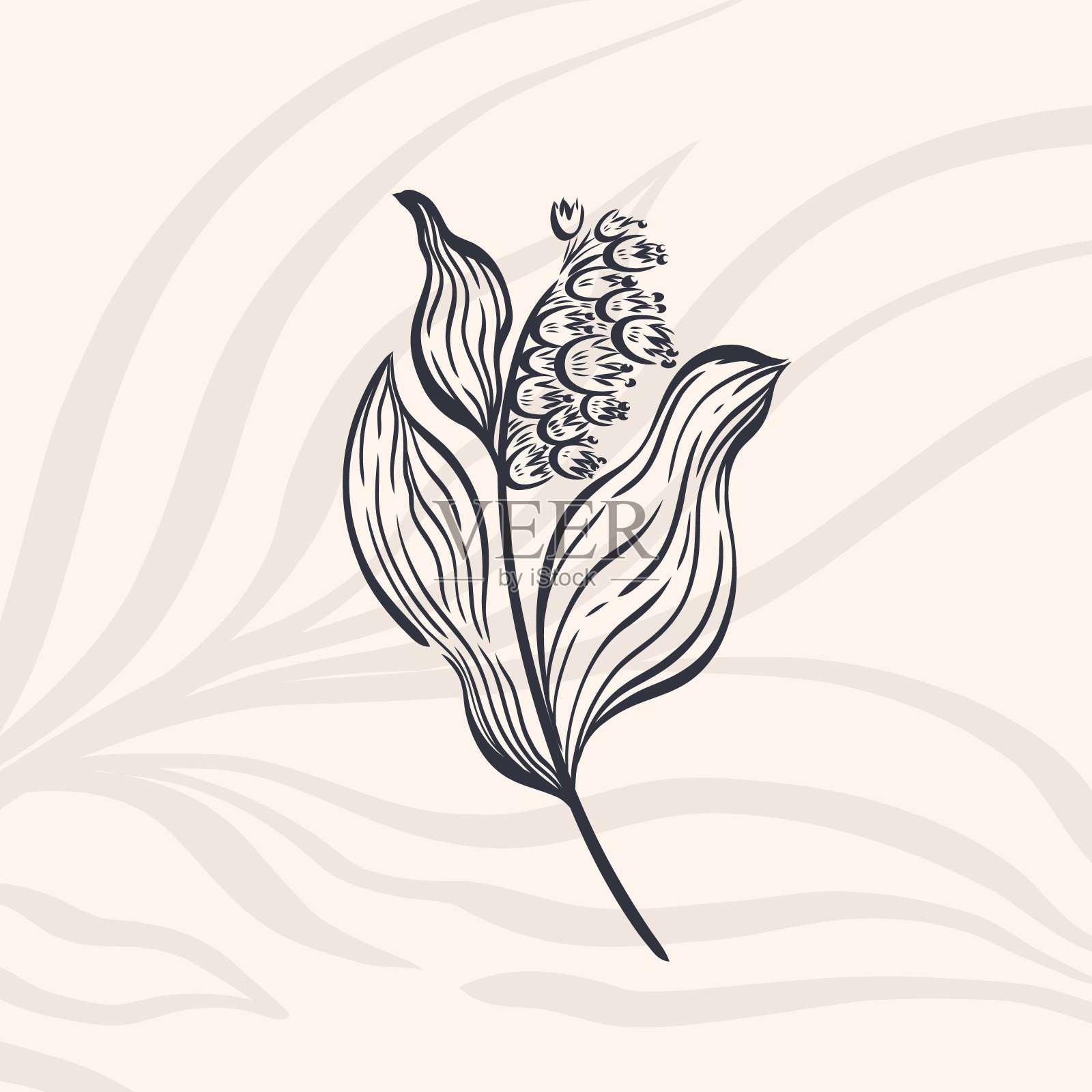 植物自然手绘。花卉植物元素。幽雅的古典风格。孤立在白色背景中。插画图片素材