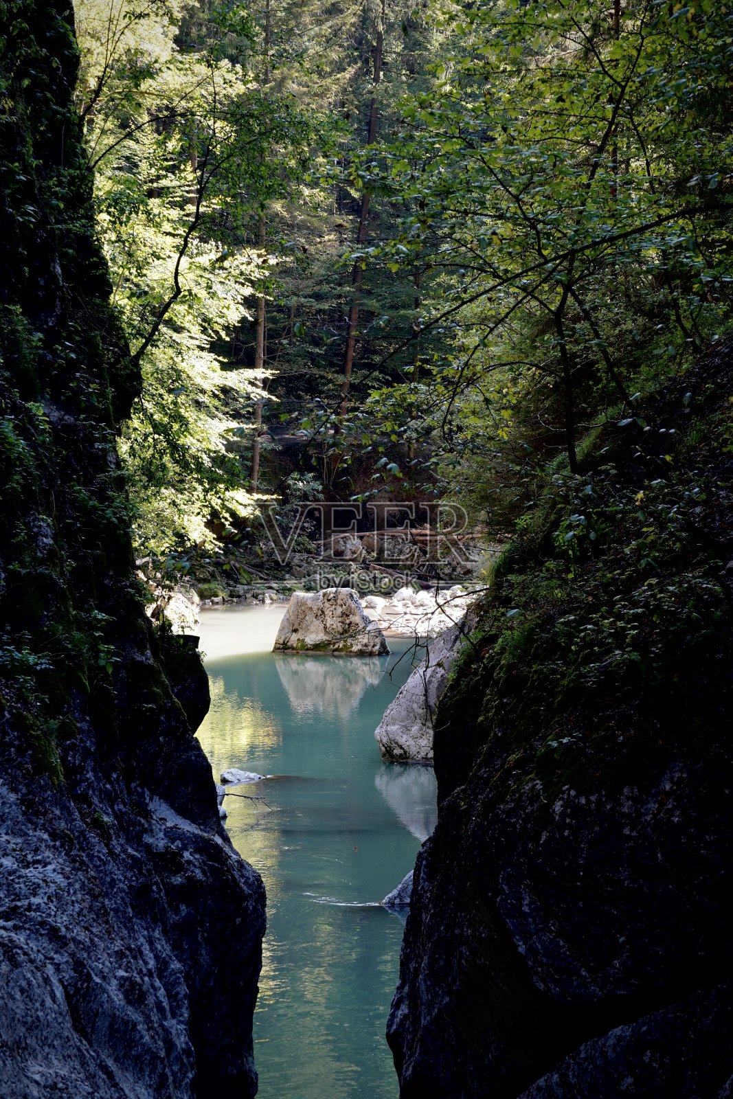 自由照片摄影图片