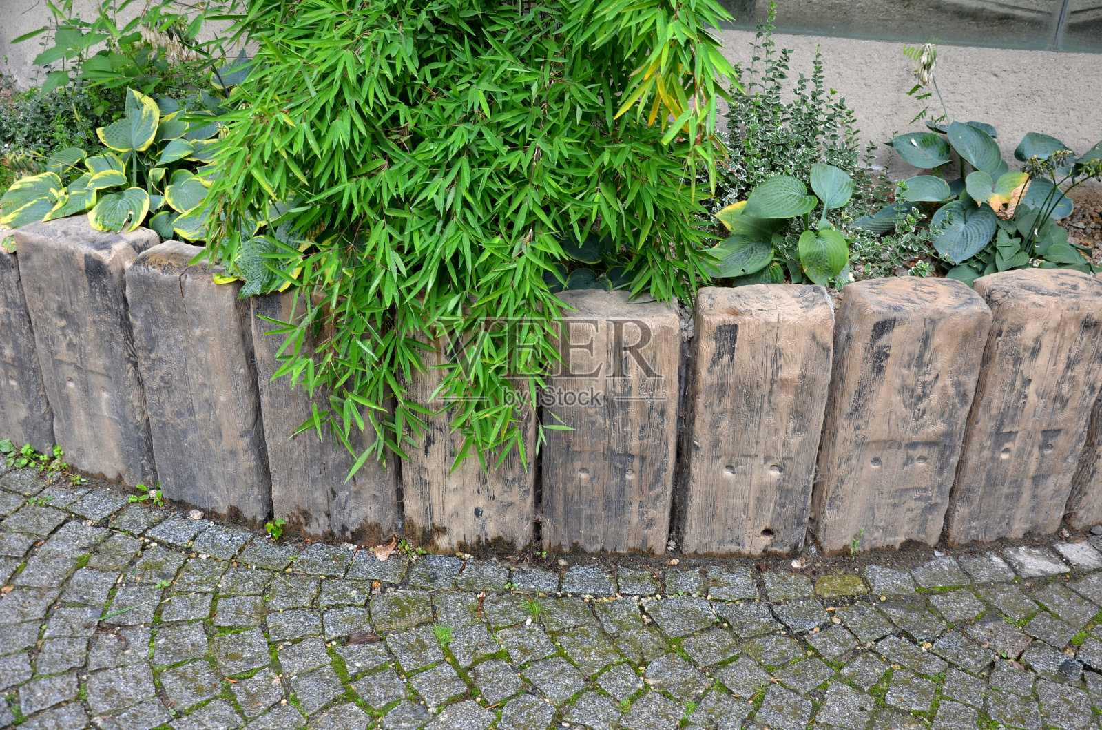 木枕木的栅栏上方种植着观赏多年生植物和一棵非常漂亮的矮生竹子。由鹅卵石砌成的路旁拱门照片摄影图片