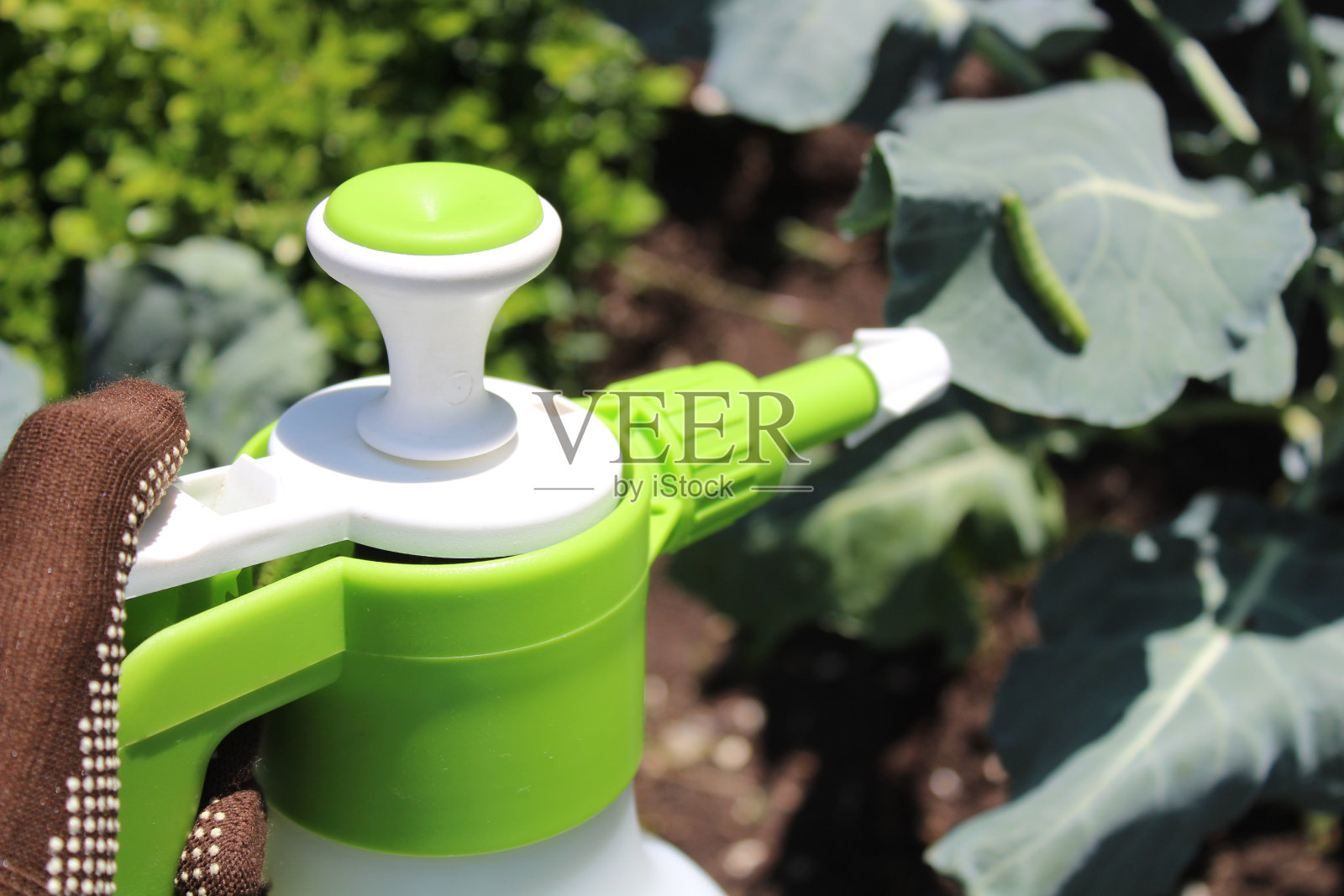 一只握着装有杀虫剂的瓶子的手照片摄影图片