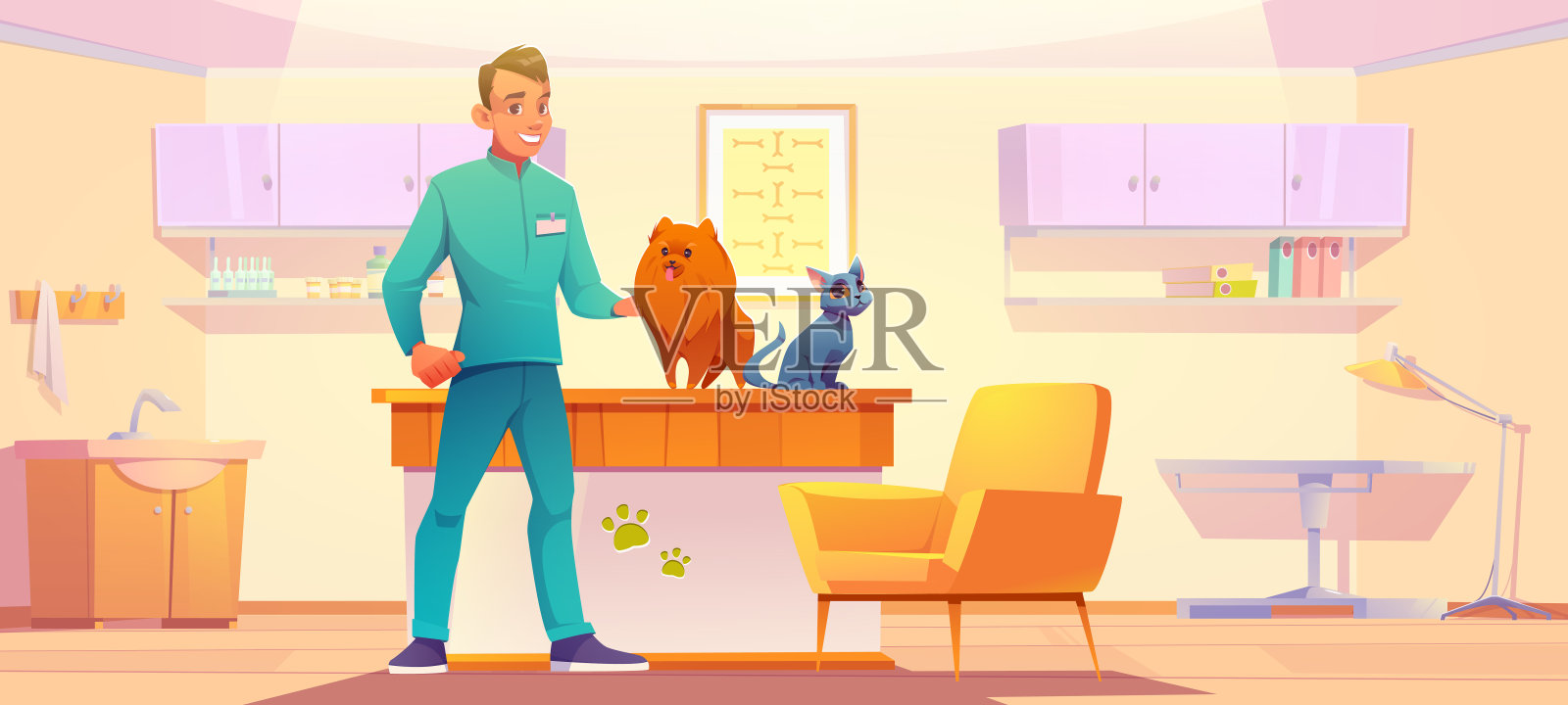 兽医诊所橱柜与动物，宠物和医生插画图片素材