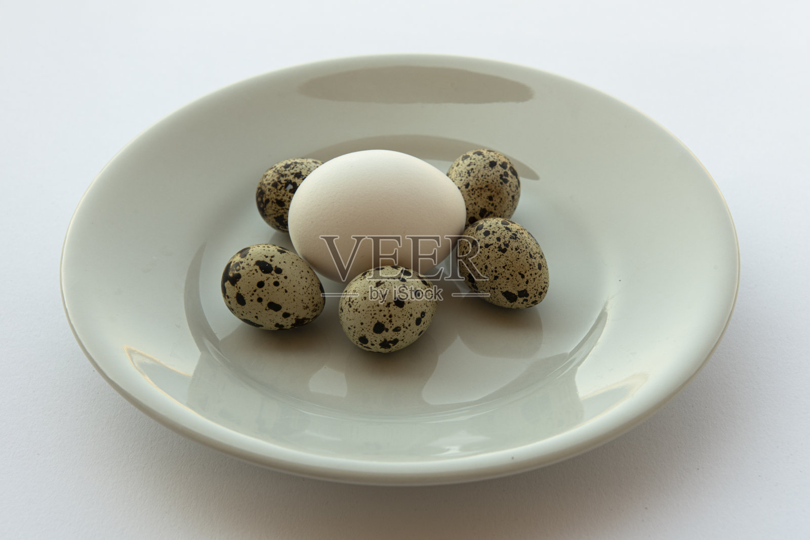 鸡蛋,照片摄影图片